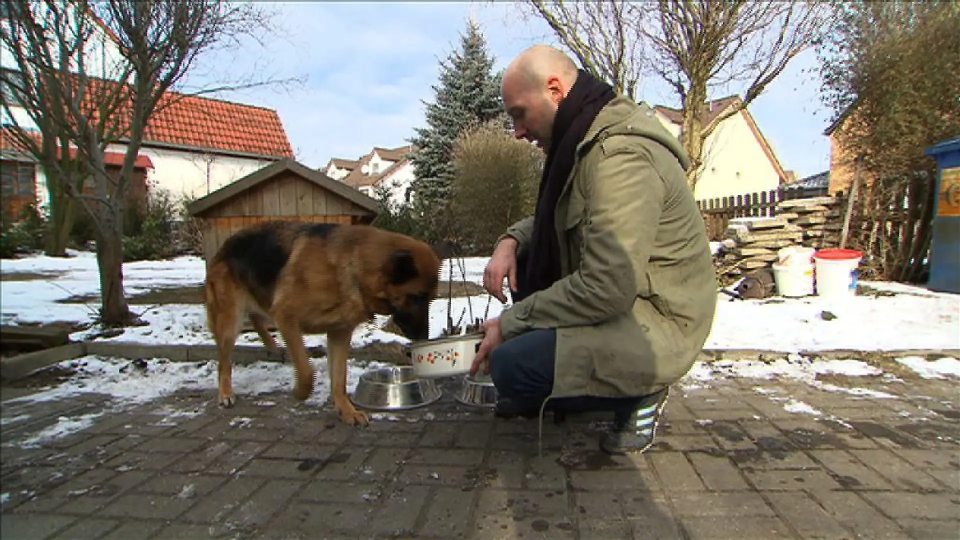 Tieranwalt 1 - Hund bekommt Speisereste
