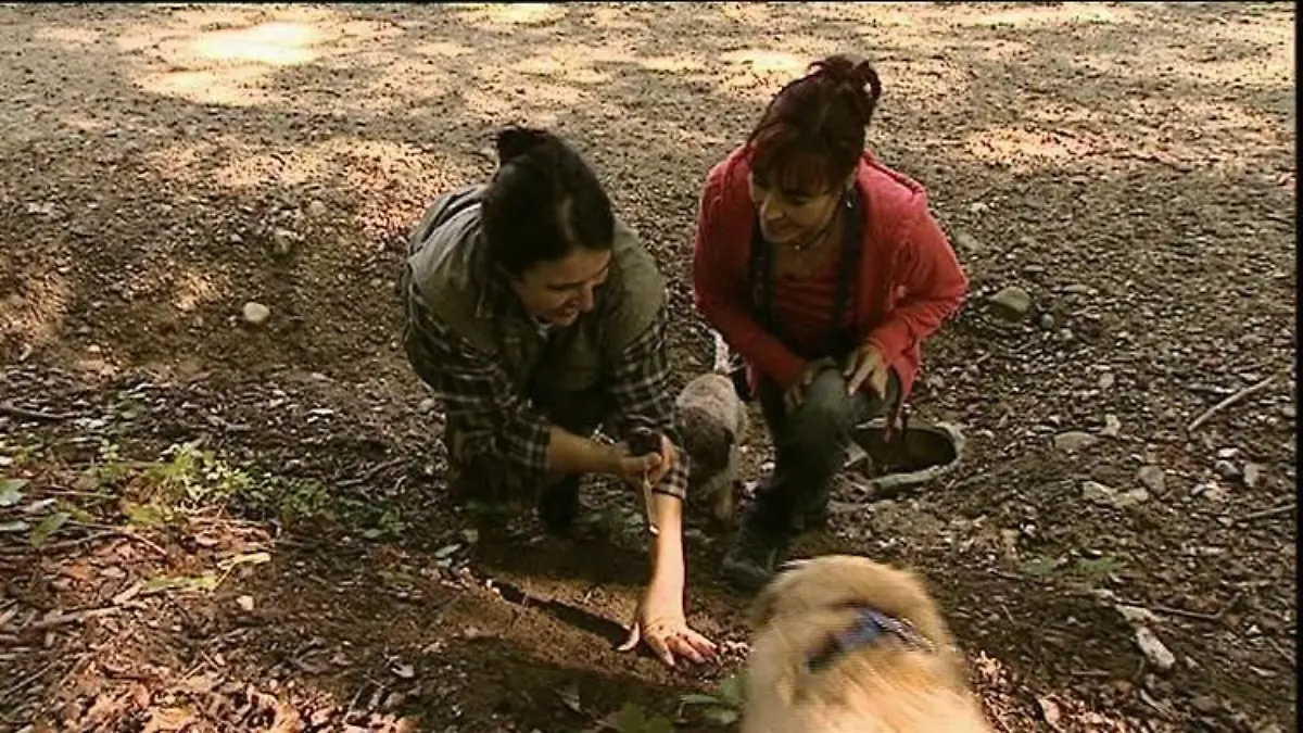 Tiergeschichten1 Diana Denise und Hunde Trffel