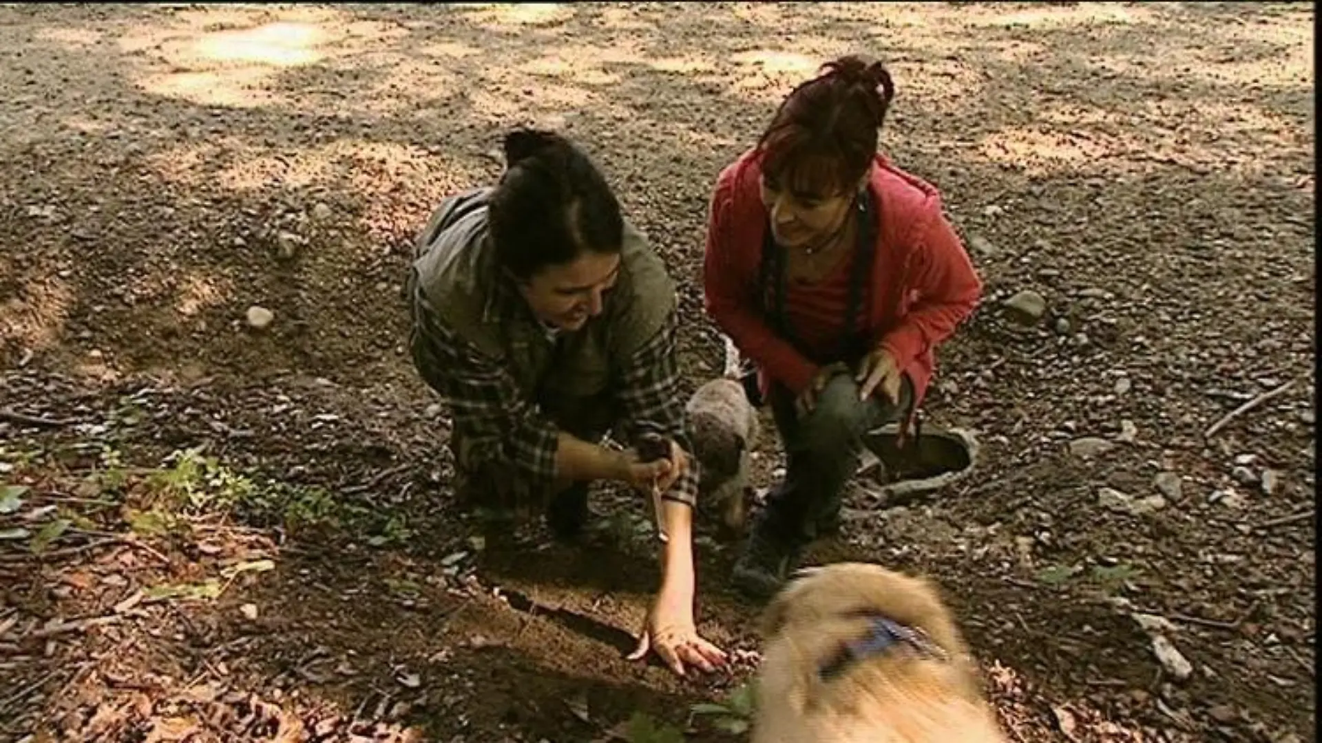 Tiergeschichten1 Diana Denise und Hunde Trffel