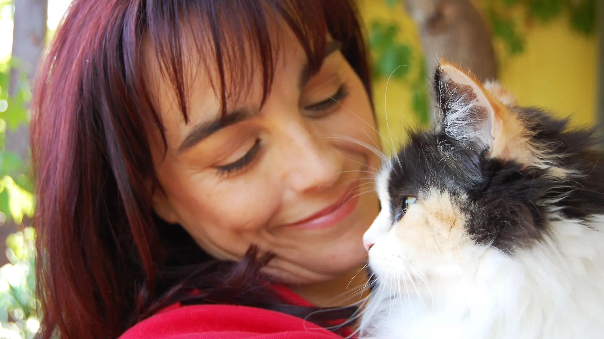 HKM Moderatorin Diana Eichhorn stellt das neue Modell einer uralten Katzenrasse vor: Die Perserkatze mit Nase.