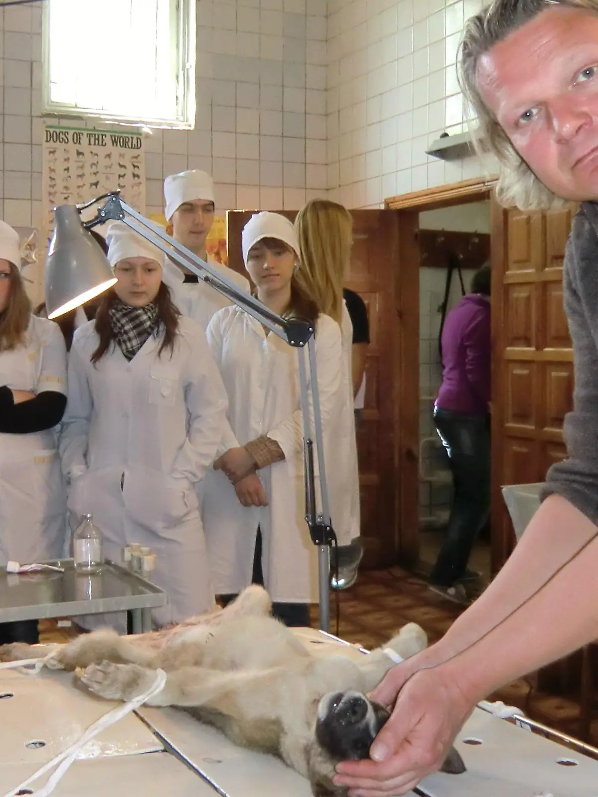 Tiere in Not - Studenten bei Kastration