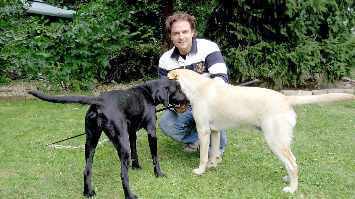 Hundeprofi Martin Rütter