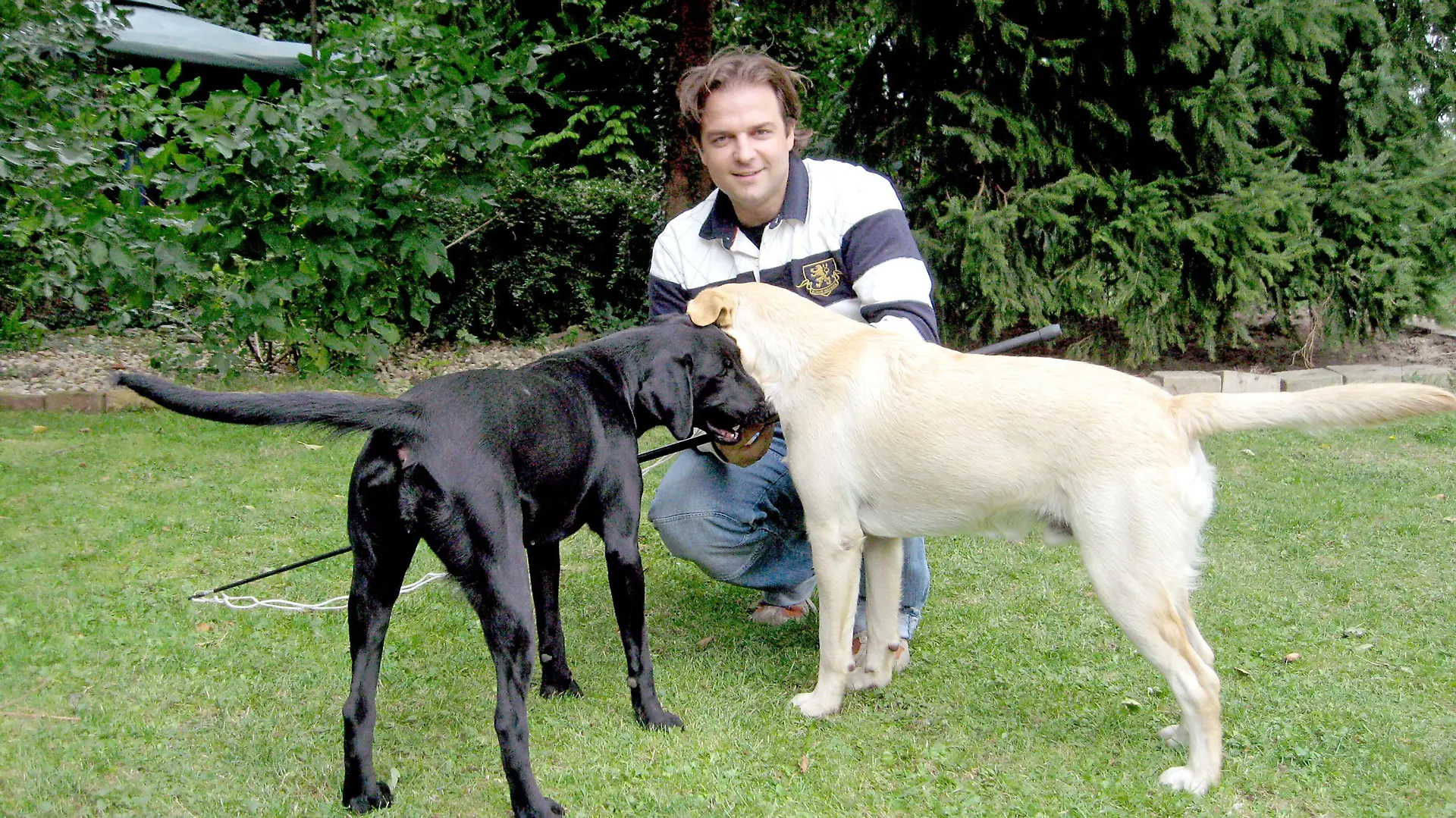 Hundeprofi Martin Rütter