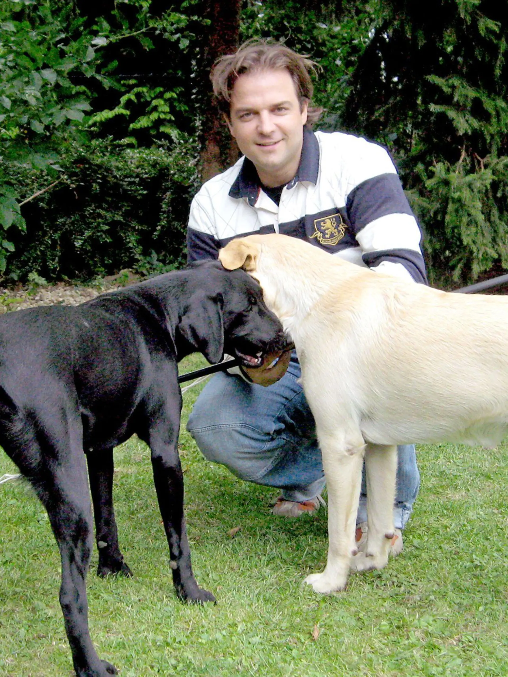 Hundeprofi Martin Rütter