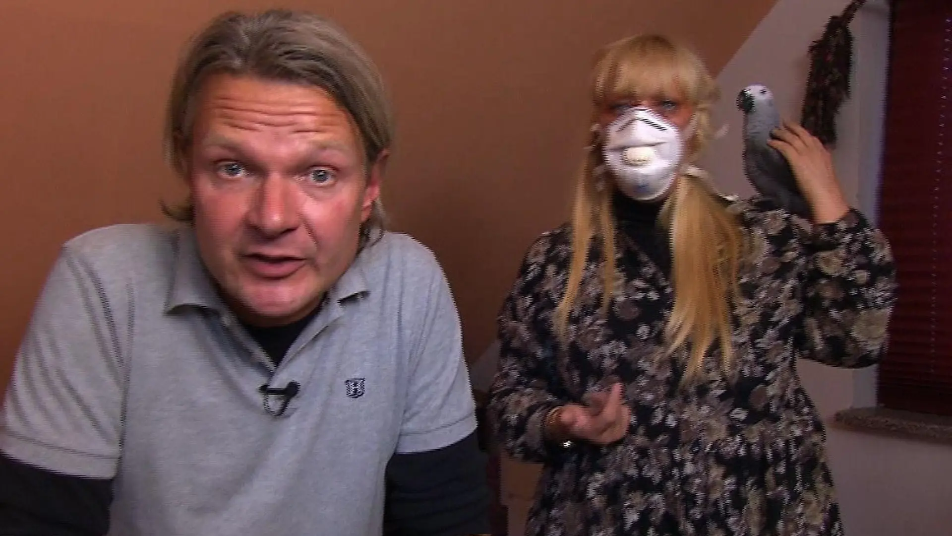 Tiere in Not - Frank Weber hilft wegen Graupapagei-Allergie