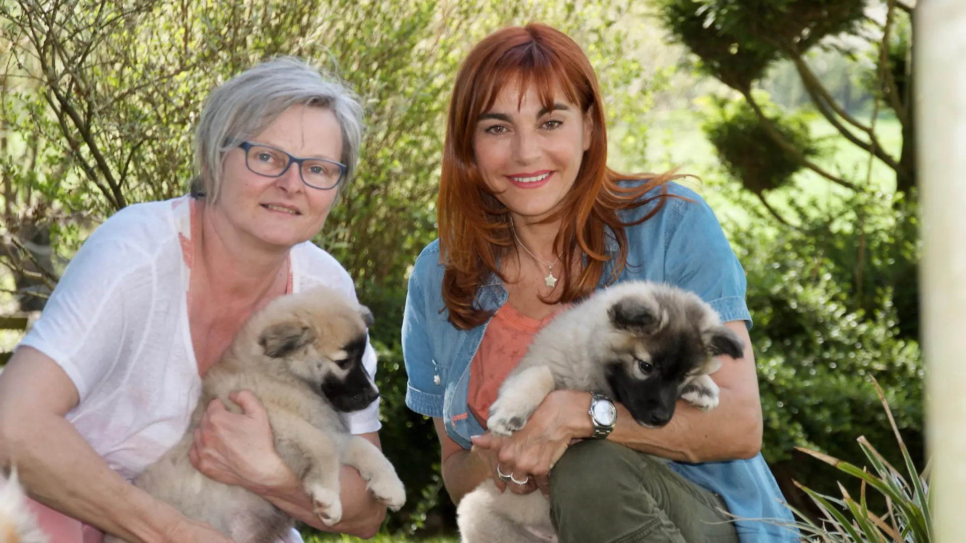 Diana - Rasseportrait Islandhunde VOX DOCMA TV (4).jpg