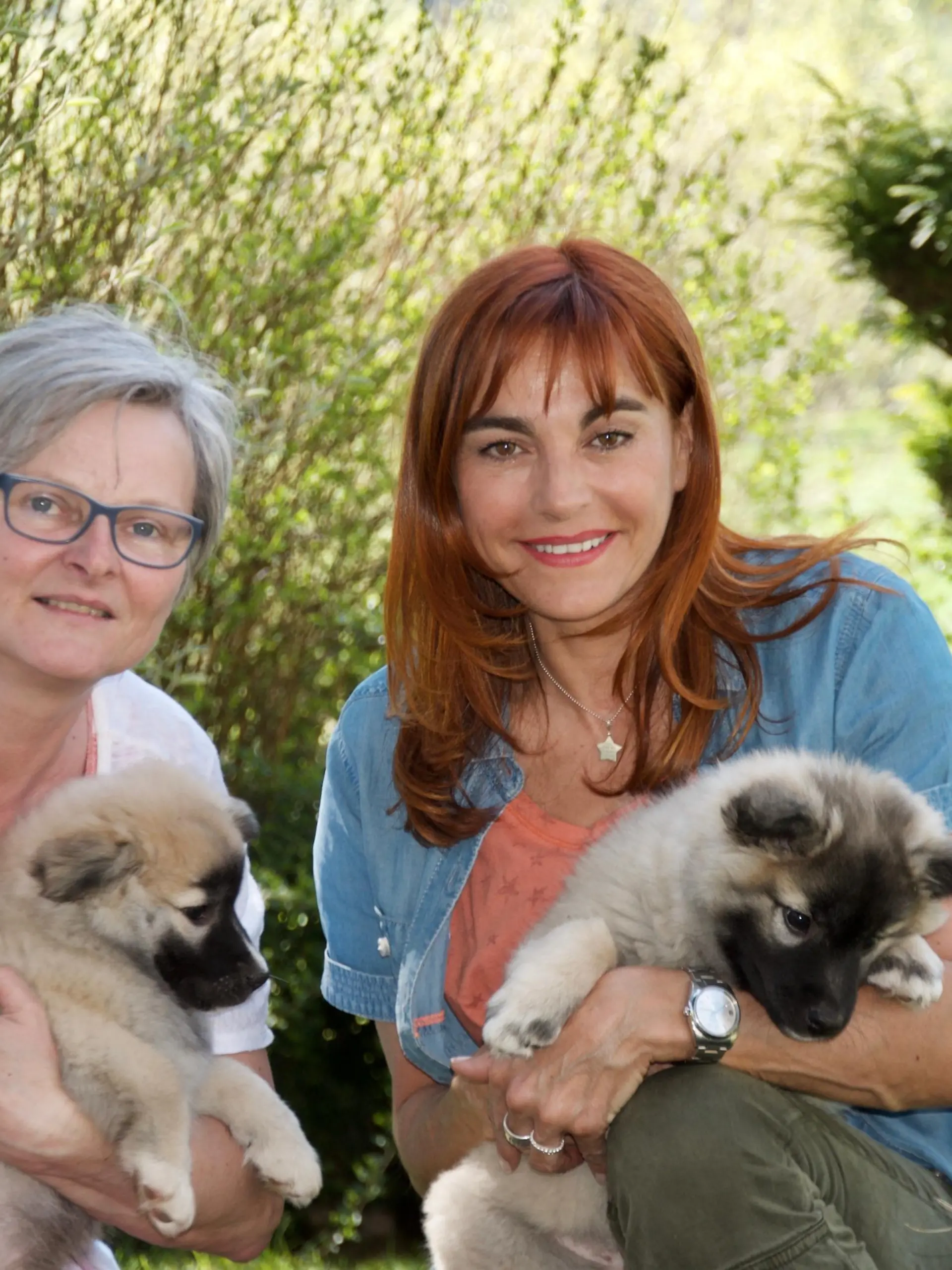 Diana - Rasseportrait Islandhunde VOX DOCMA TV (4).jpg