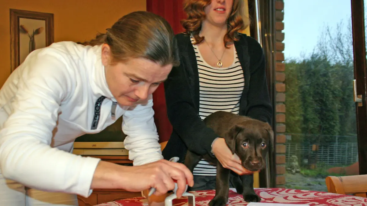 Dolph bei Tierärztin Dr. Carolin Dennert um geimpft zu werden.