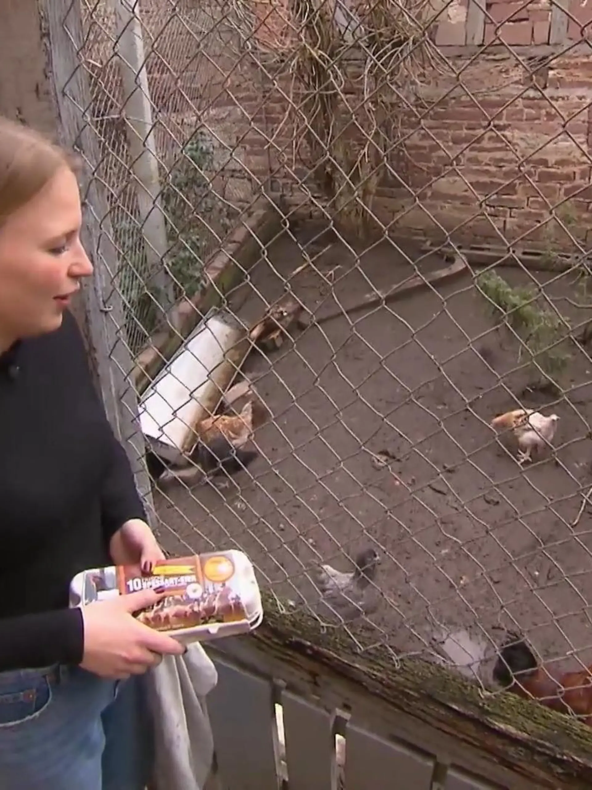 "Das perfekte Dinner"-Kandidatin Lisa Marie bei ihren Lieblingen, ihren eigenen Hühnern