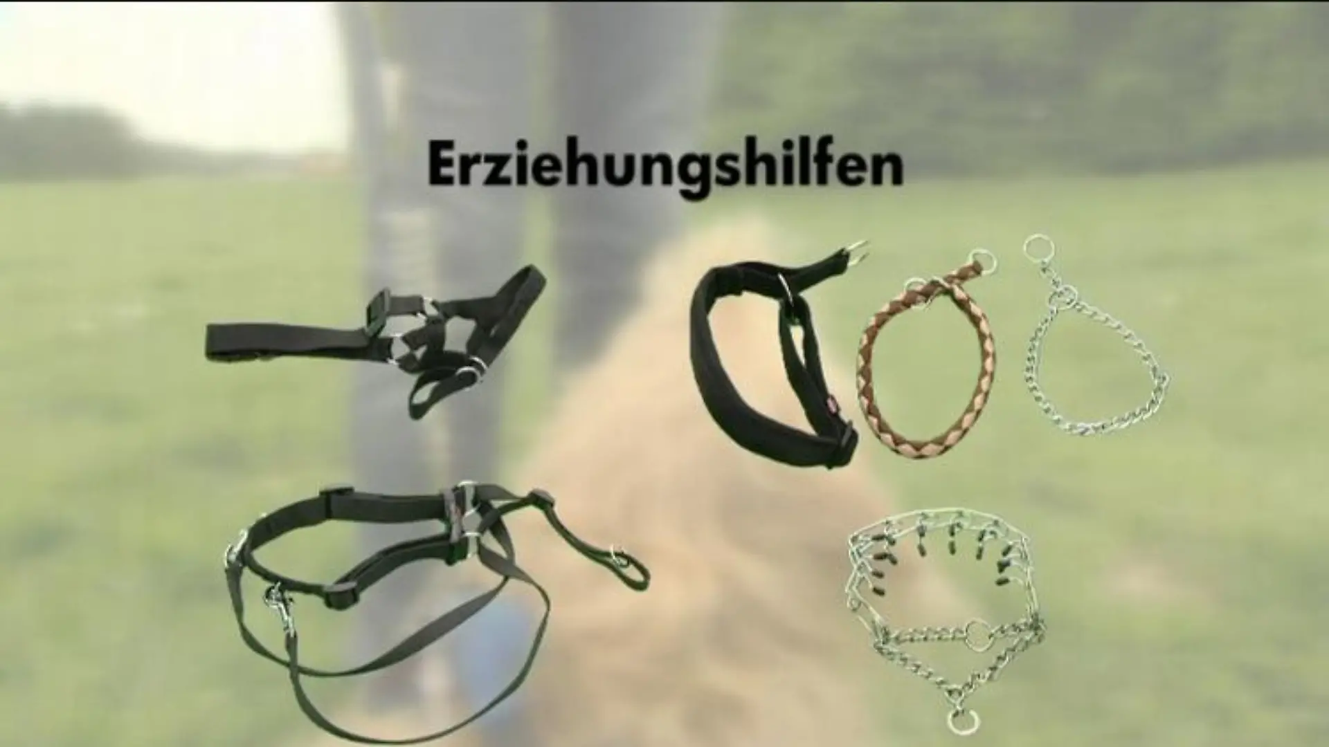 galerie5 erziehungshilfen