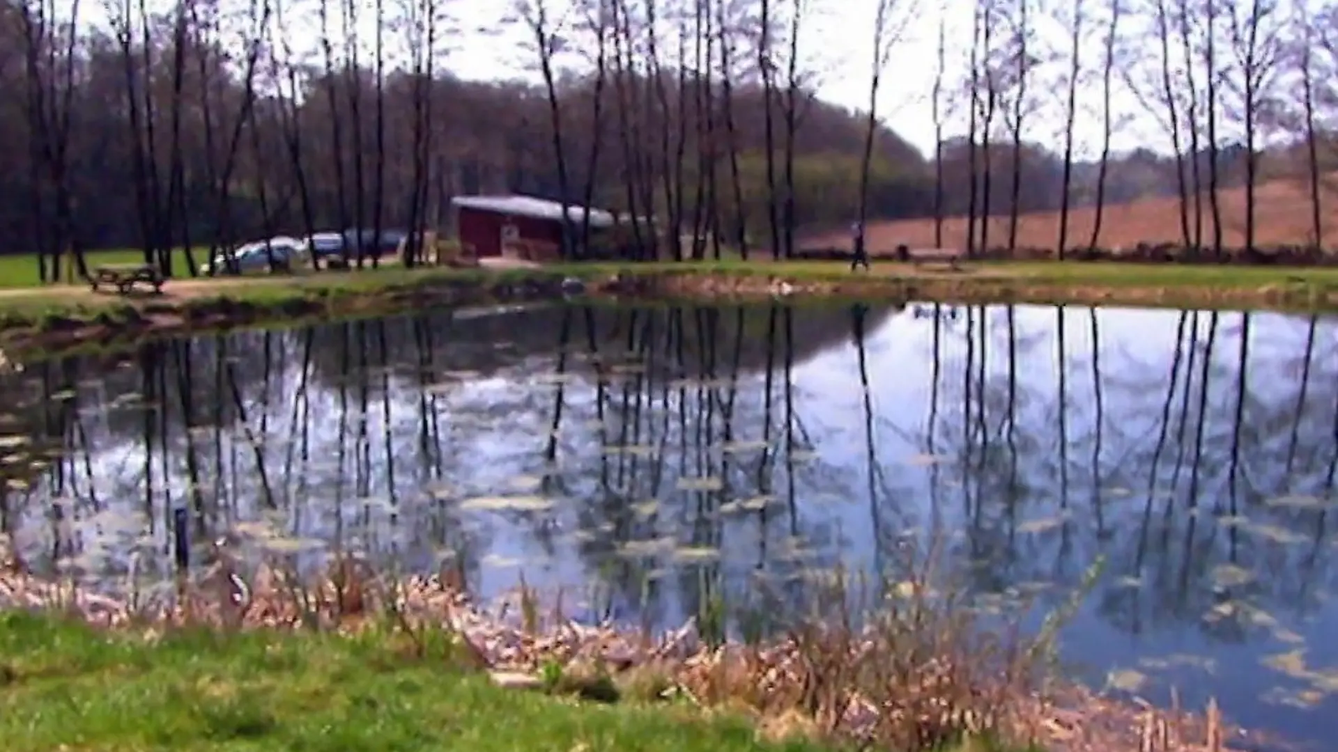 bild (46)
