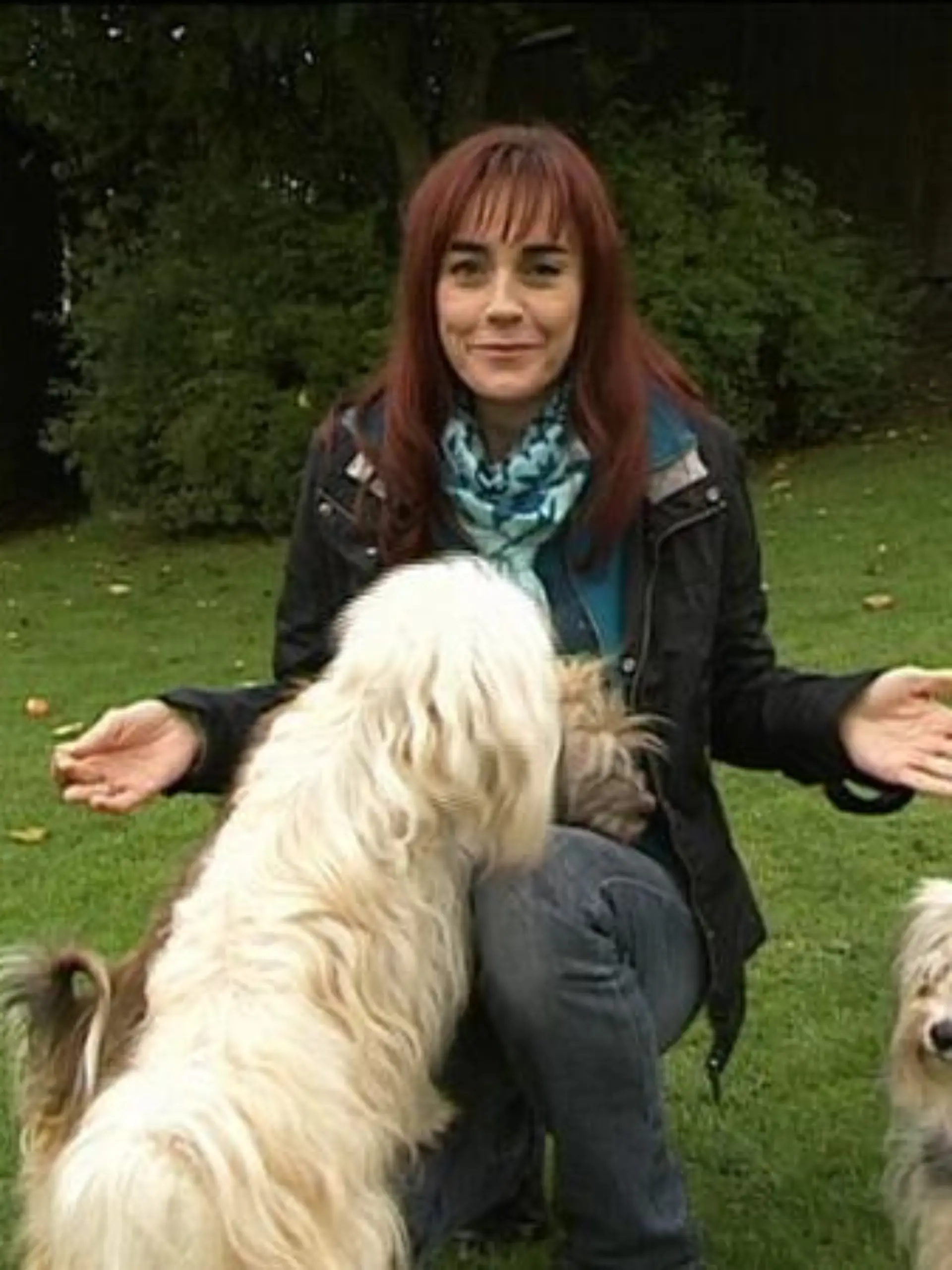 Tiergeschichten 1 Diana und Havaneser