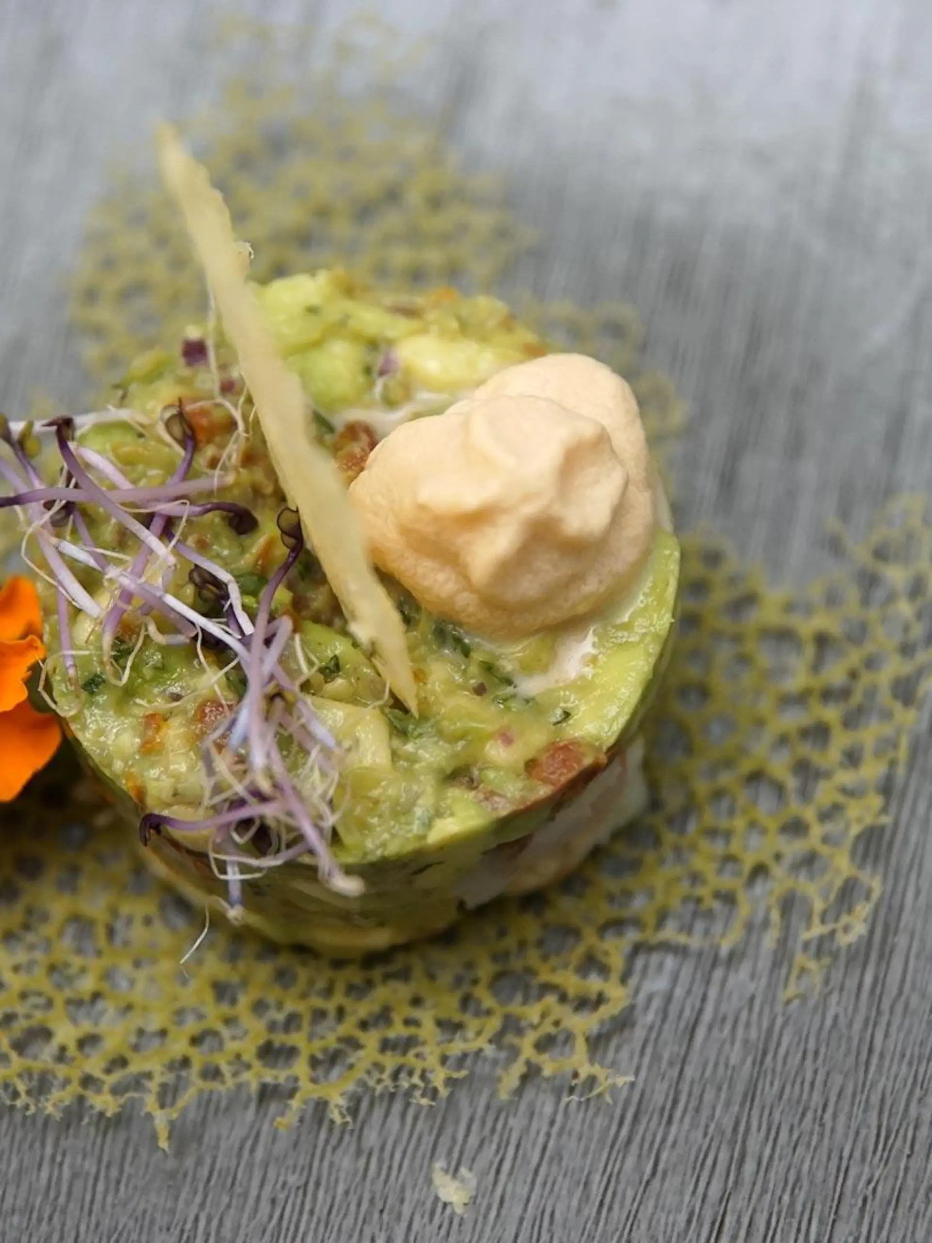 Avocado mit Shrimpstatar und Käse