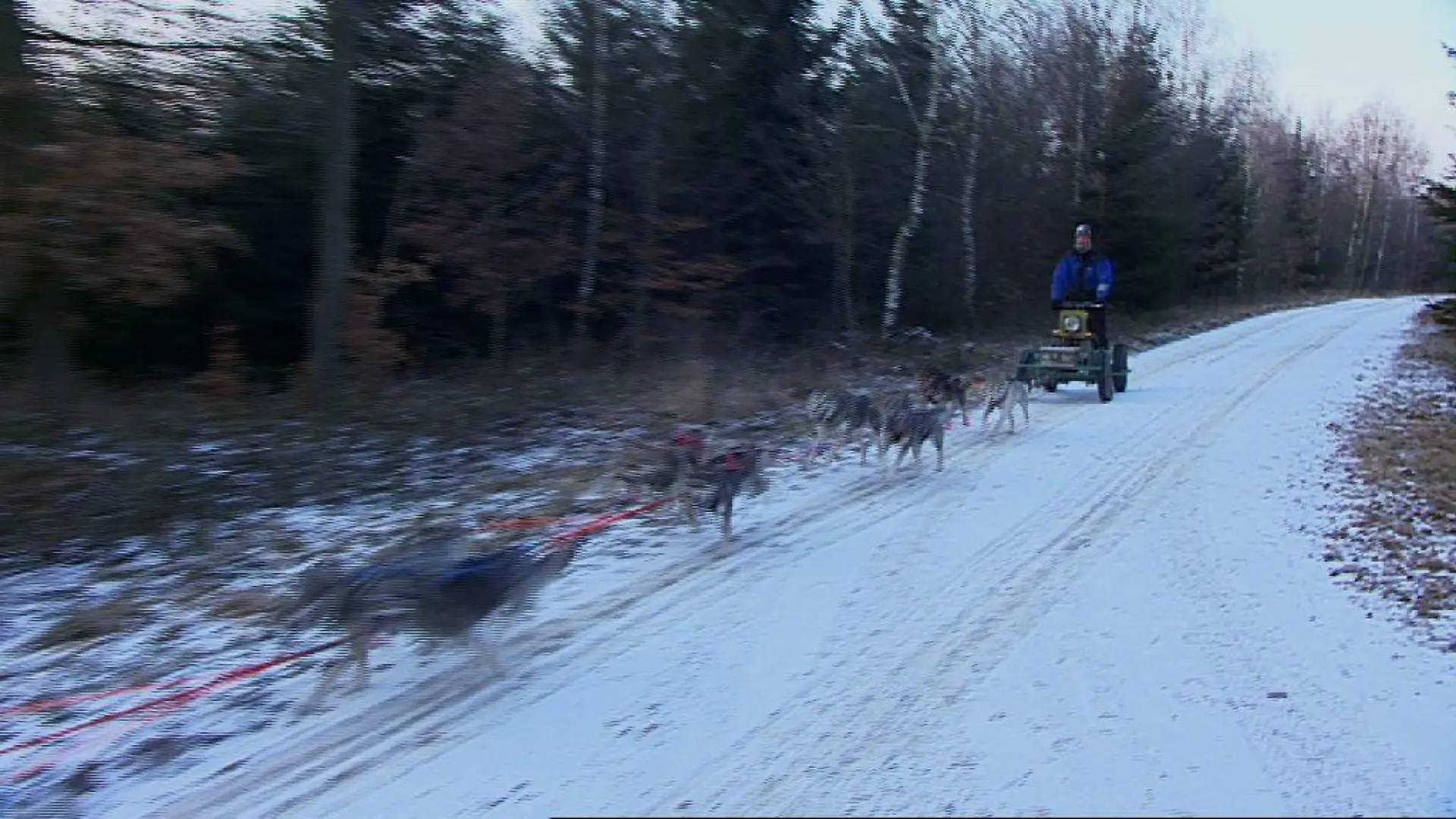Tiergeschichten 3 - Bild 2 - Volker Ebertshuser und Husky-Gespann