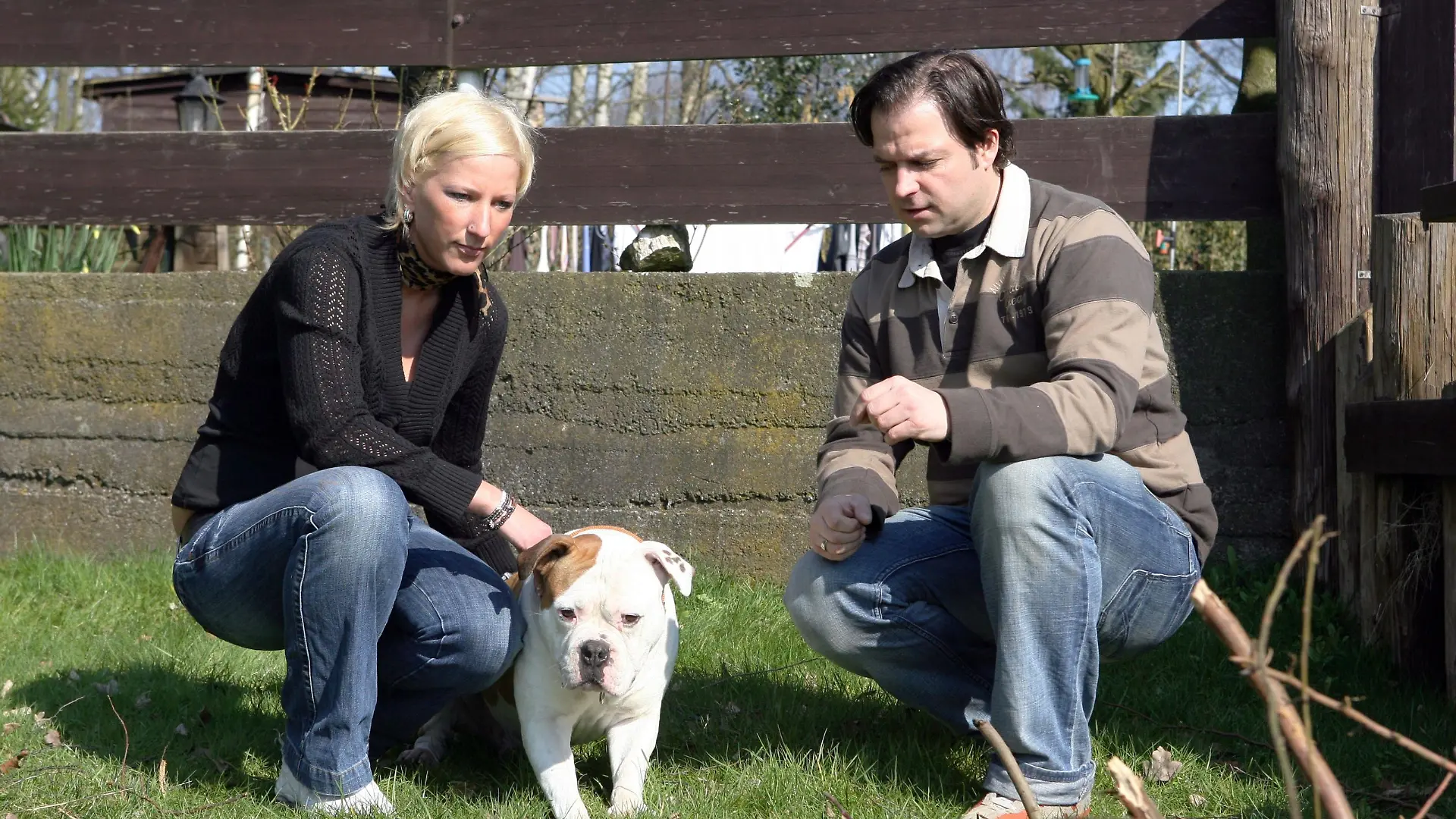 Hundeprofi Martin Rütter kümmert sich um die amerikanische Bulldogge Max. Ilka Kühns Hund richtet seinen Frust nicht gegen Menschen oder andere Hunde, sondern gegen sich selbst.