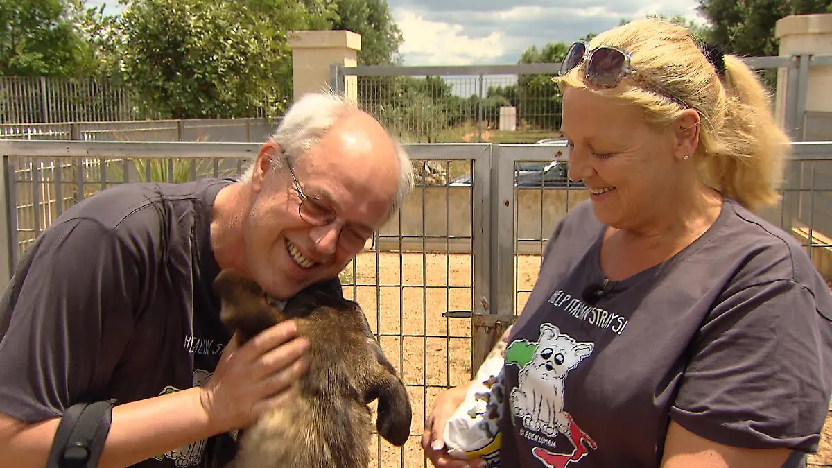 TG3 - Miniserie Straenhunde 2- VOX Wiedersehen macht Freude Nach einem Jahr besuchen die deutschen Tieraktivisten erneut ihre italienischen Schtzlinge