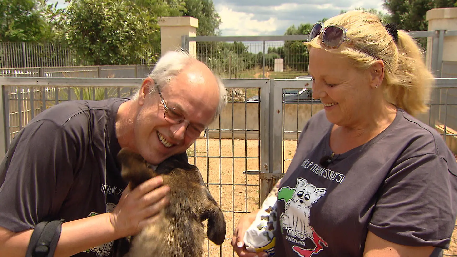 TG3 - Miniserie Straenhunde 2- VOX Wiedersehen macht Freude Nach einem Jahr besuchen die deutschen Tieraktivisten erneut ihre italienischen Schtzlinge