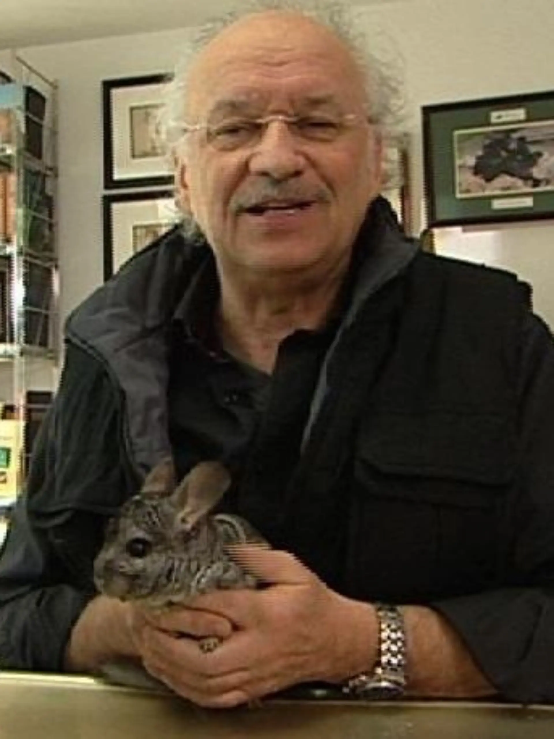 Sprechstunde2 - VOX - Dr. Wolf und Chinchilla