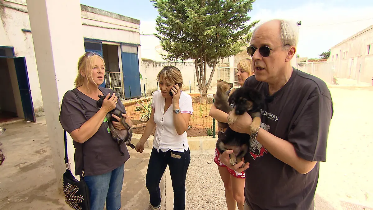 Miniserie Straenhunde Apulien - VOX DOCMA TV - Susanne Luigia Nina und Robert (v.l.) helfen italienischen Hunden in Not