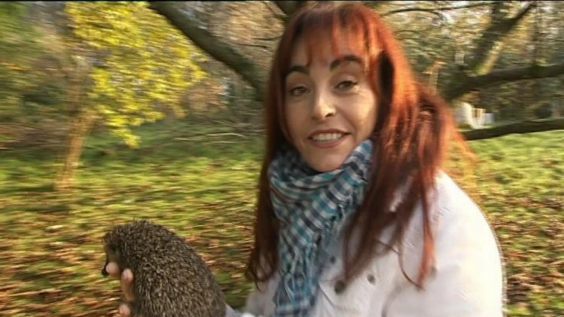 tiergeschichten1 diuana und igel