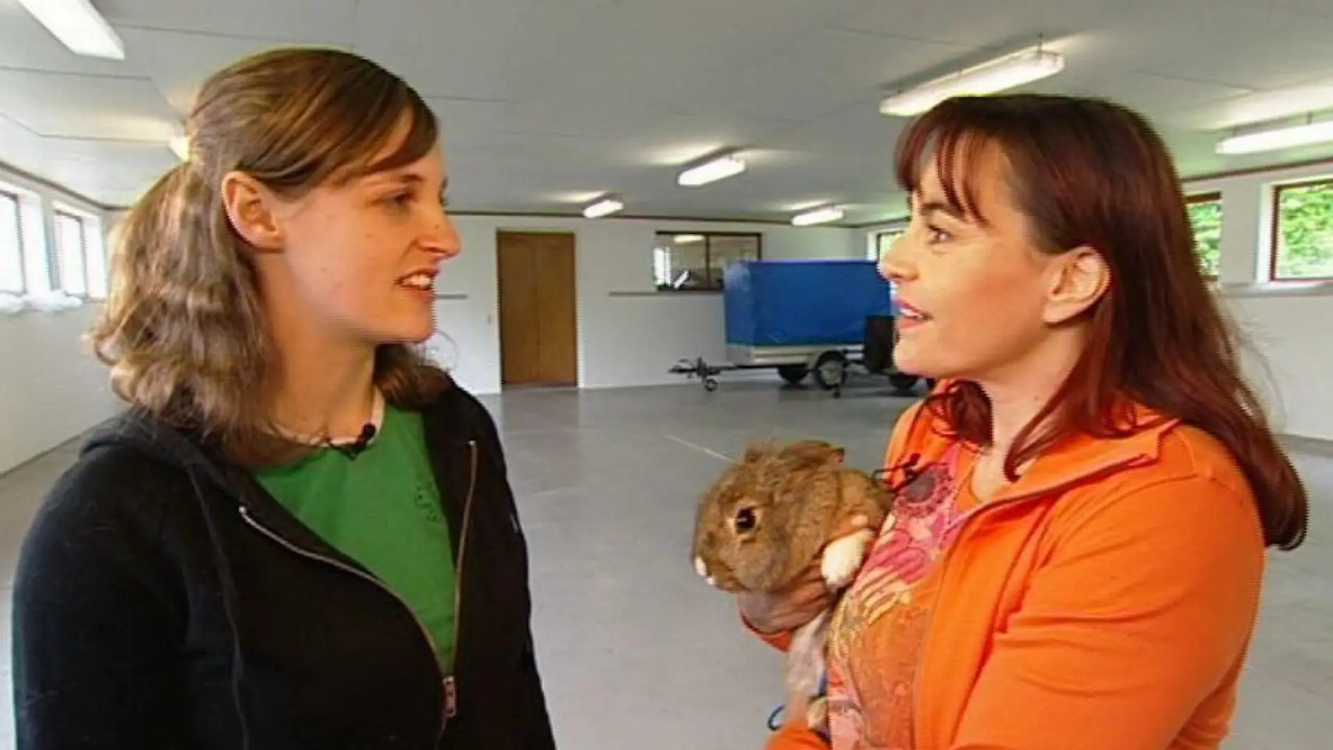 tiergeschichten2 a2
