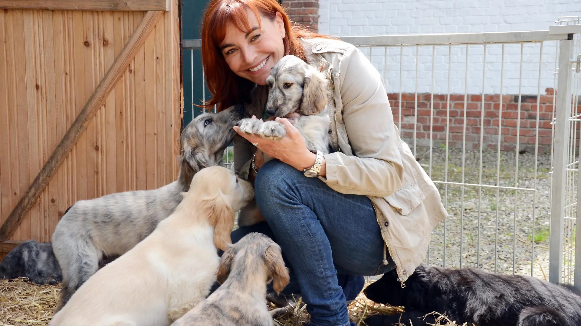 hundkatzemaus-Reporterin Diana Eichhorn - vor neun Wochen sind in Niedersachsen zehn Afghanen-Welpen zur Welt gekommen!