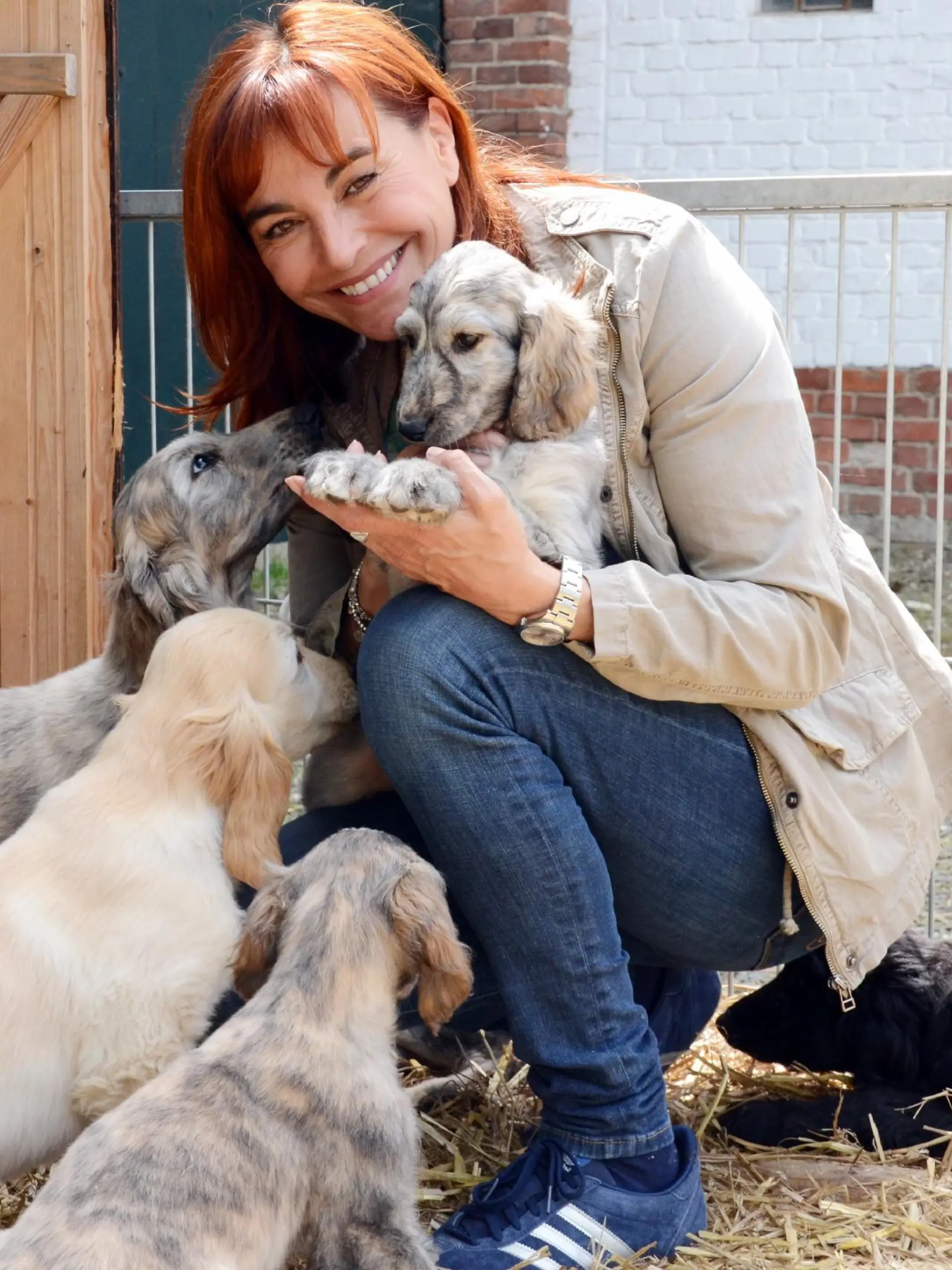 hundkatzemaus-Reporterin Diana Eichhorn - vor neun Wochen sind in Niedersachsen zehn Afghanen-Welpen zur Welt gekommen!