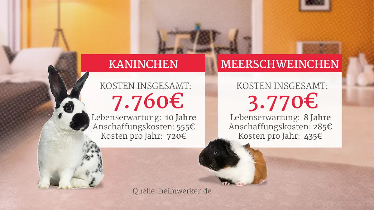 Grafik: Kosten von Kaninchen und Meerschweinchen als Haustier