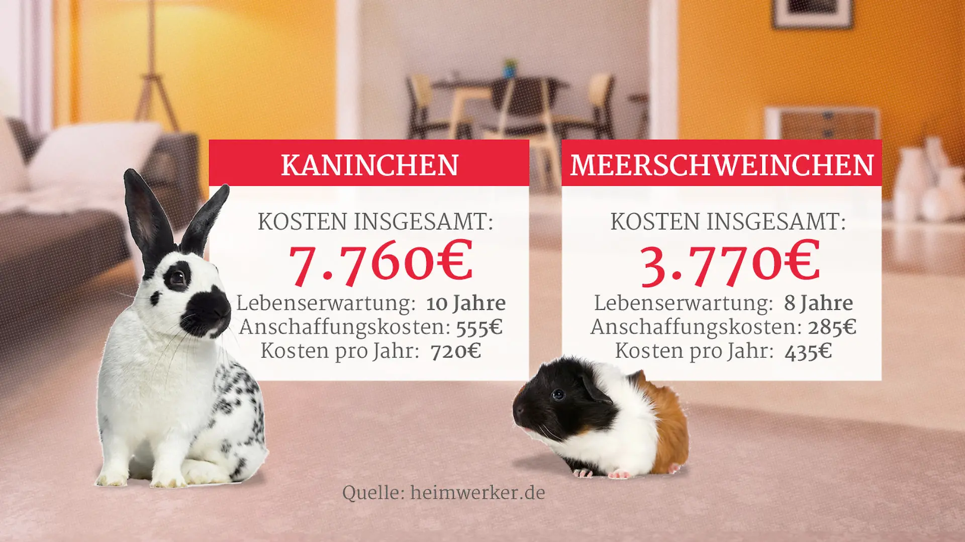 Grafik: Kosten von Kaninchen und Meerschweinchen als Haustier