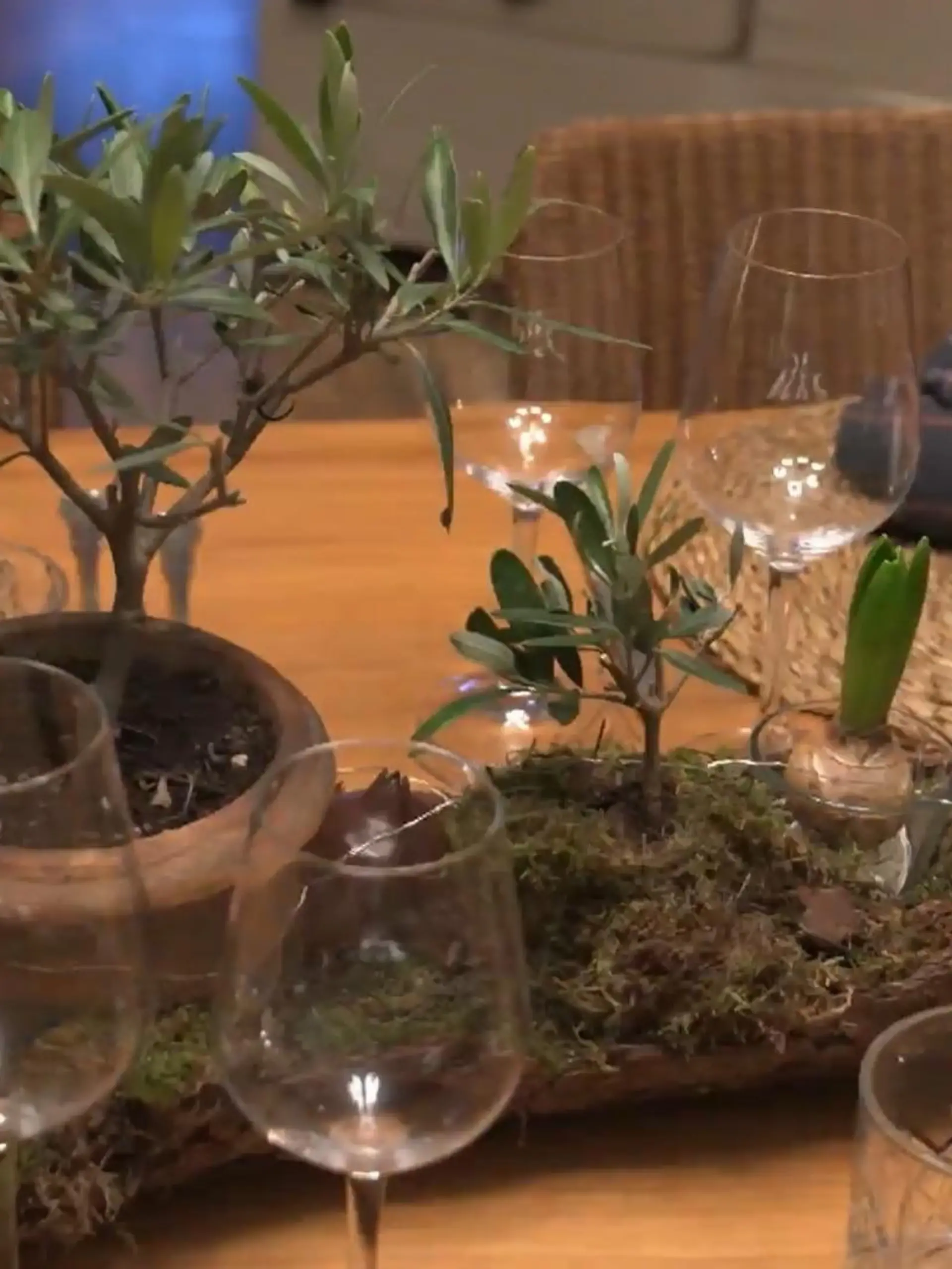 Dinnerstart bei Tina