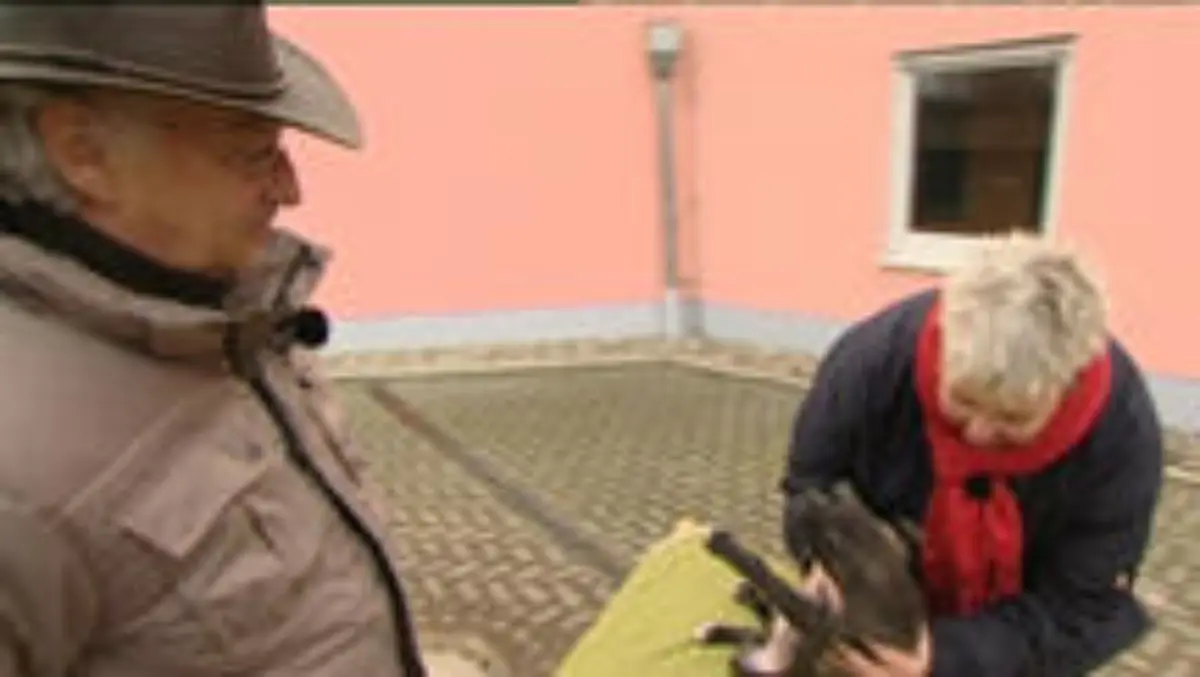 sprechstunde1 a2