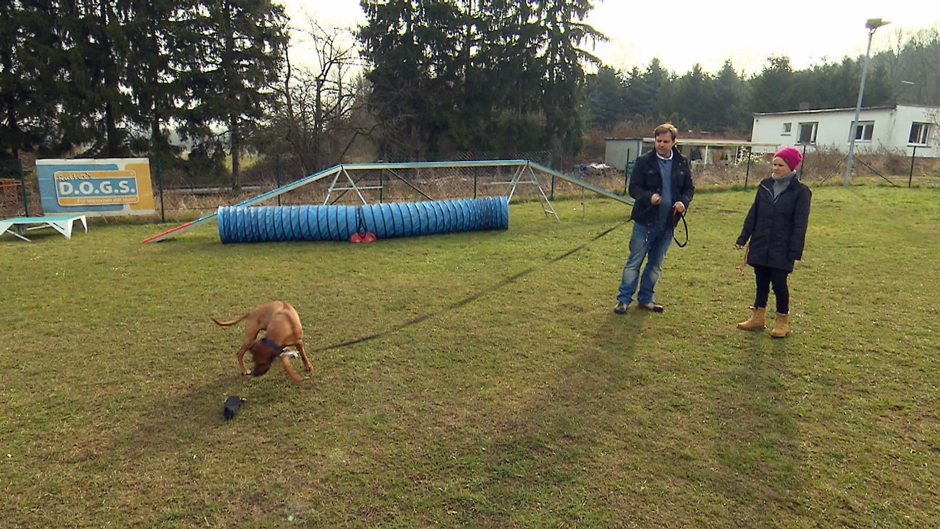 Die Rhodesian Ridgeback-Hündin Nia hat eine Schwäche für den Kot anderer Hunde. Ihr Frauchen Kristina Gülden ist verzweifelt und bittet Martina Rütter um Hilfe.