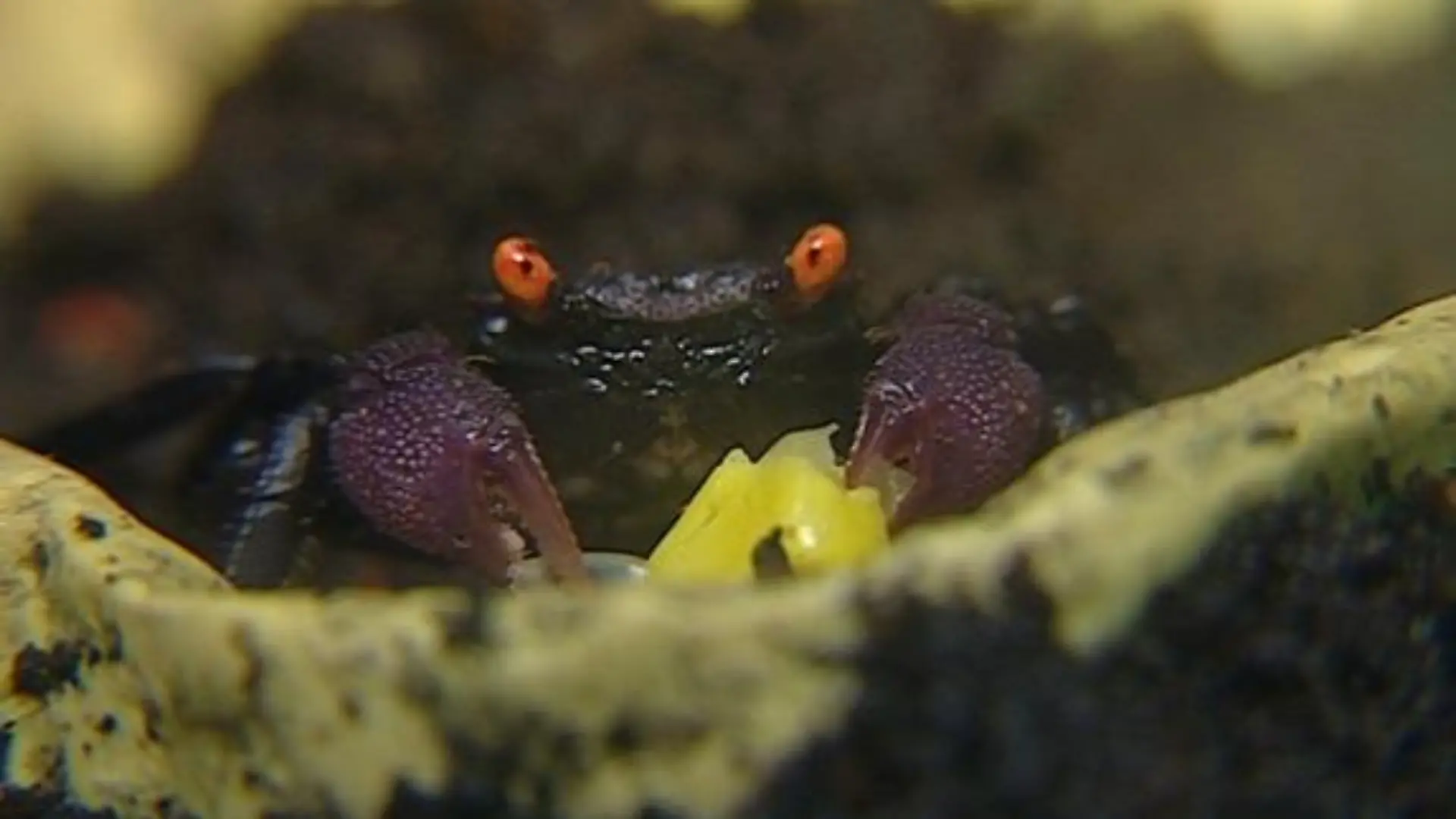 tiergeschichten7
