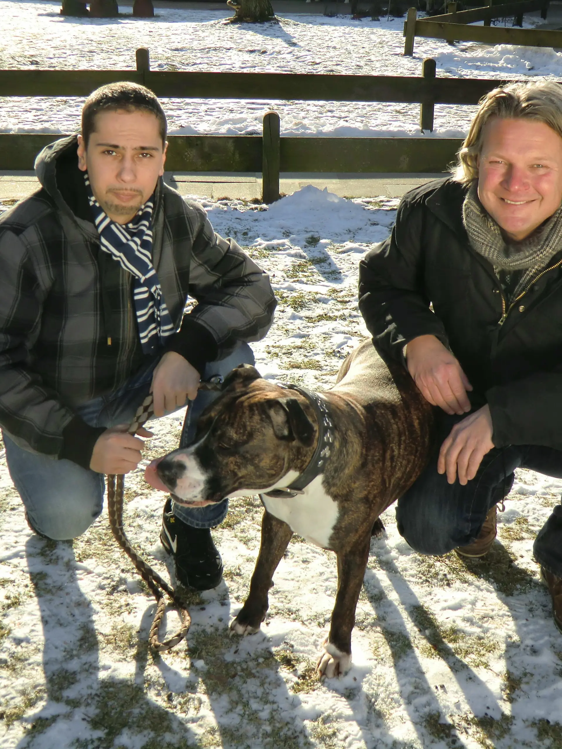 Tiere in Not 2 - Bild 2 - Frank Weber-Adriano Boelmann-Rolex 