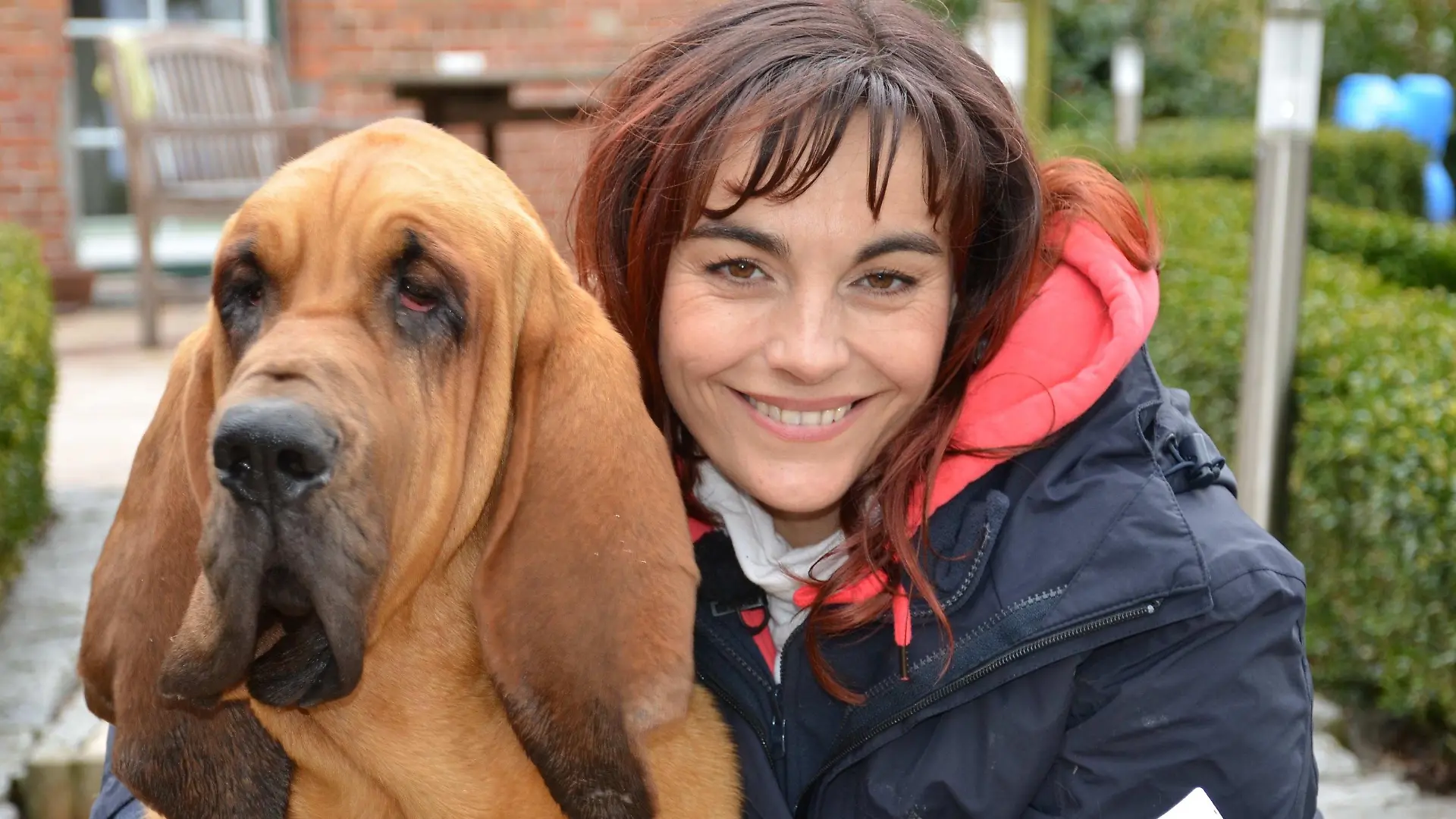 Vorschau1 - Diana und Bloodhounds