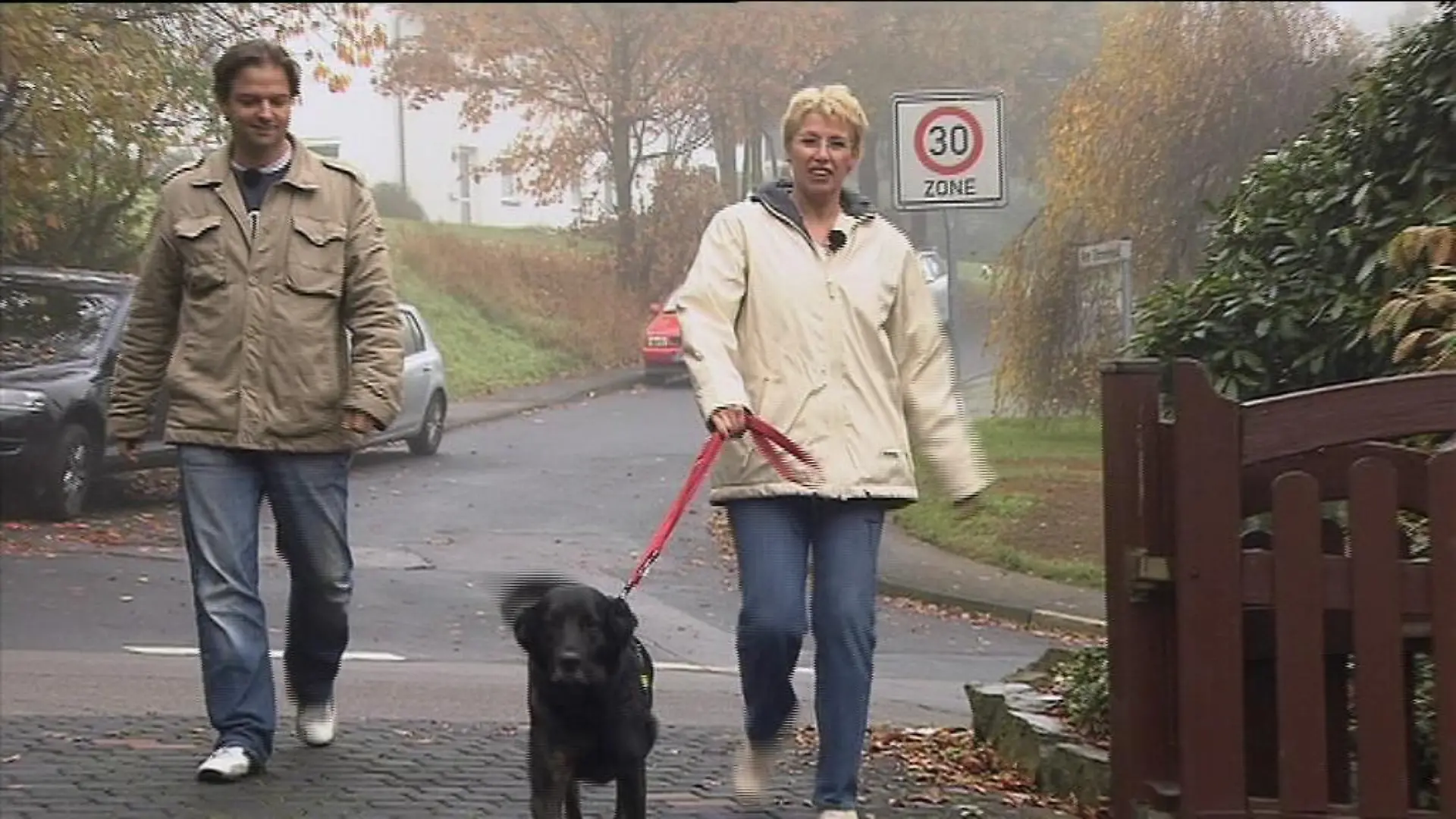hkm hundeprofi b