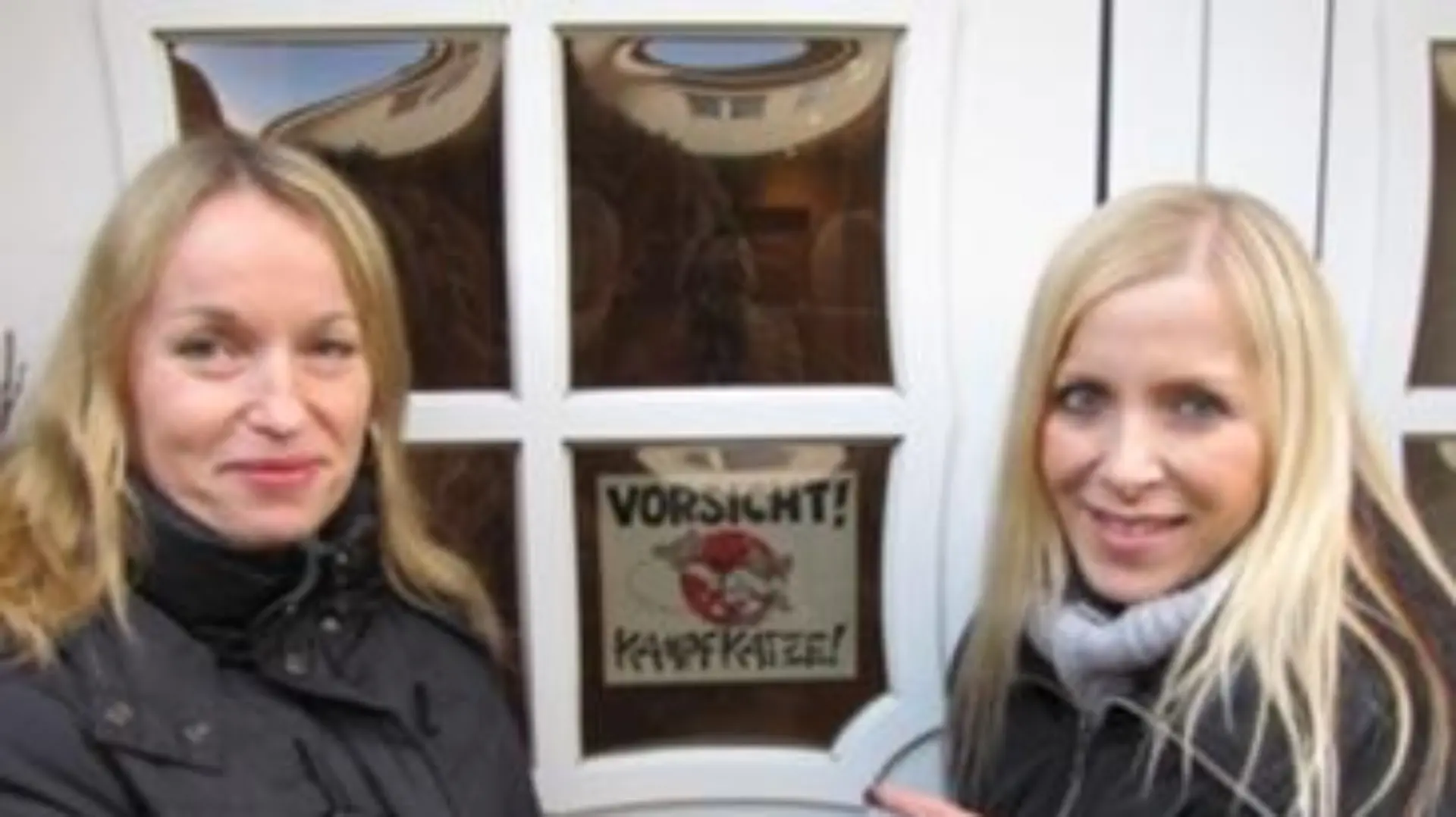 Katzentherapeutin 1 - Vorsicht Kampfkatze - Birga und