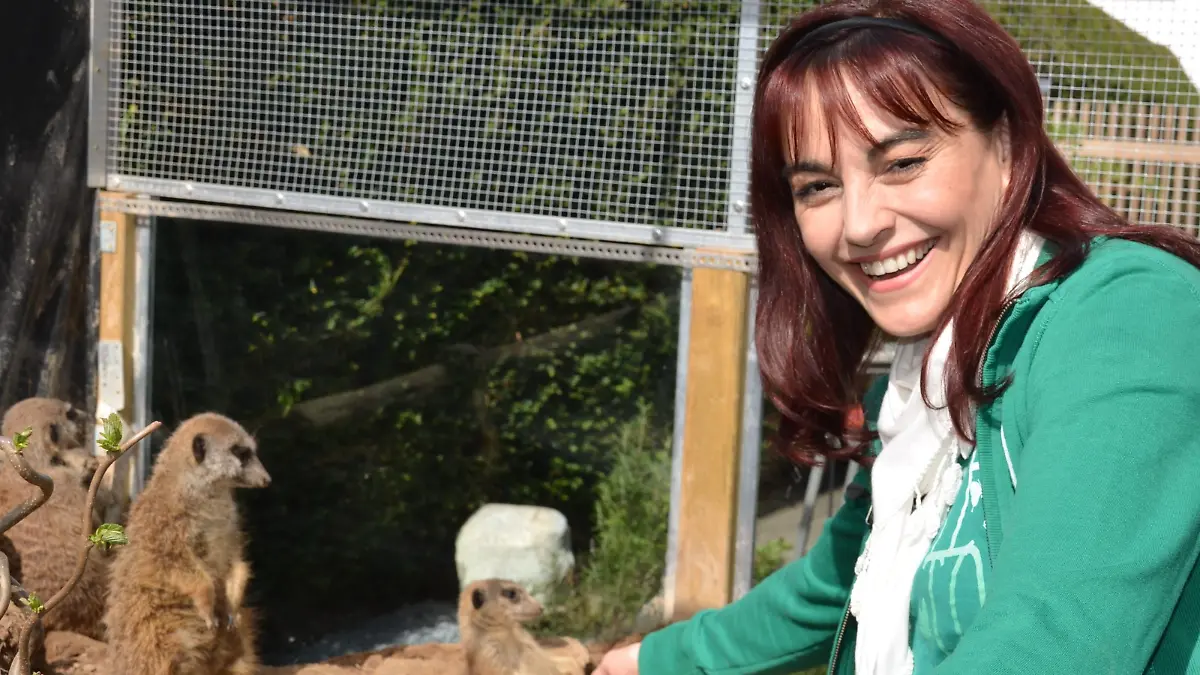 Tiergeschichten2 - Diana und Erdmnnchen