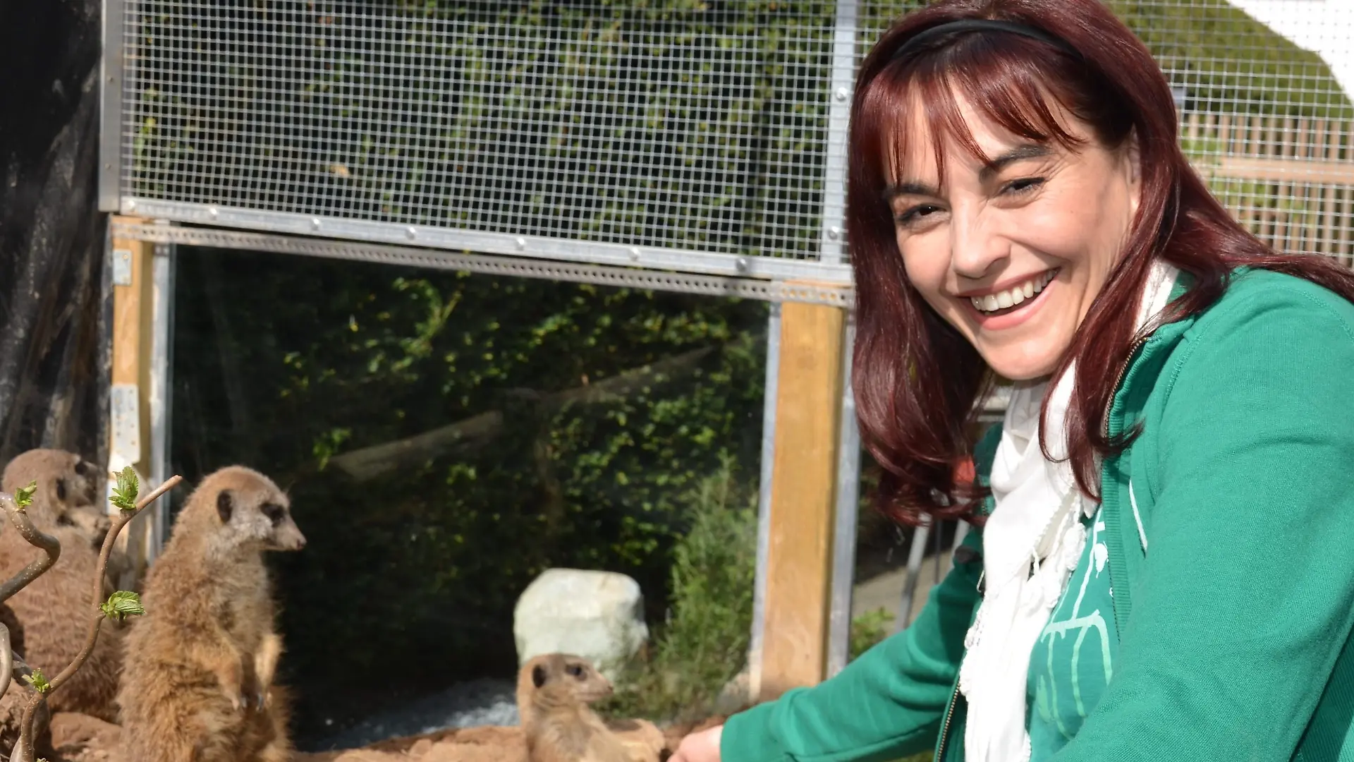 Tiergeschichten2 - Diana und Erdmnnchen