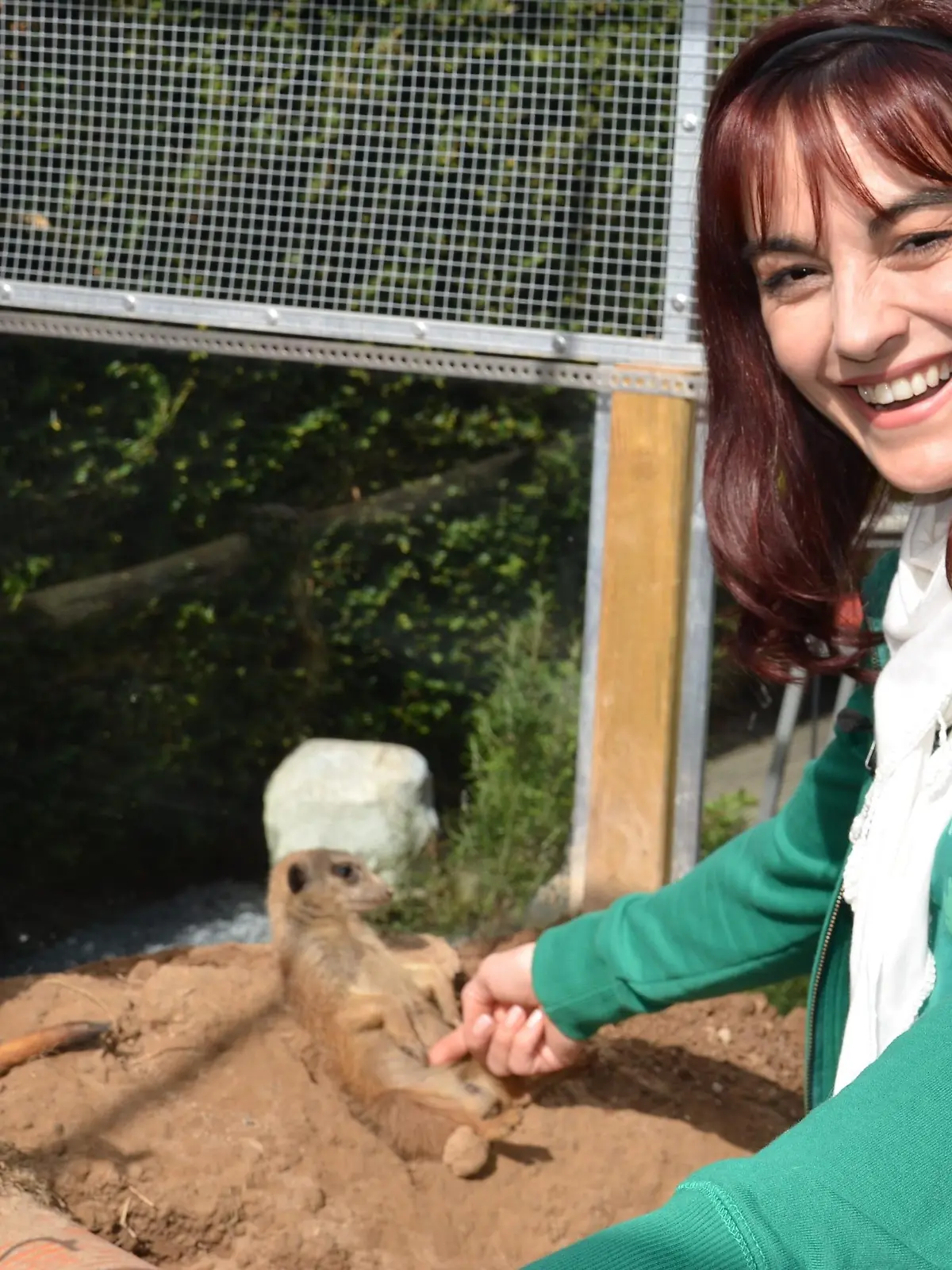 Tiergeschichten2 - Diana und Erdmnnchen