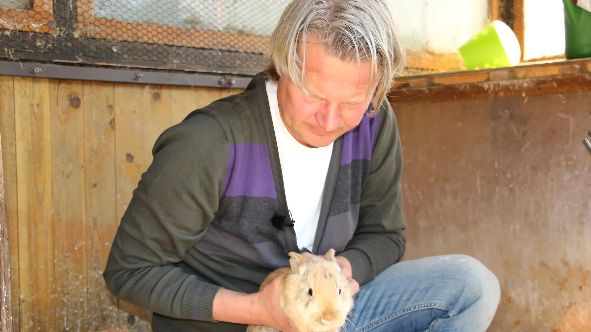 Kaninchen FW 4