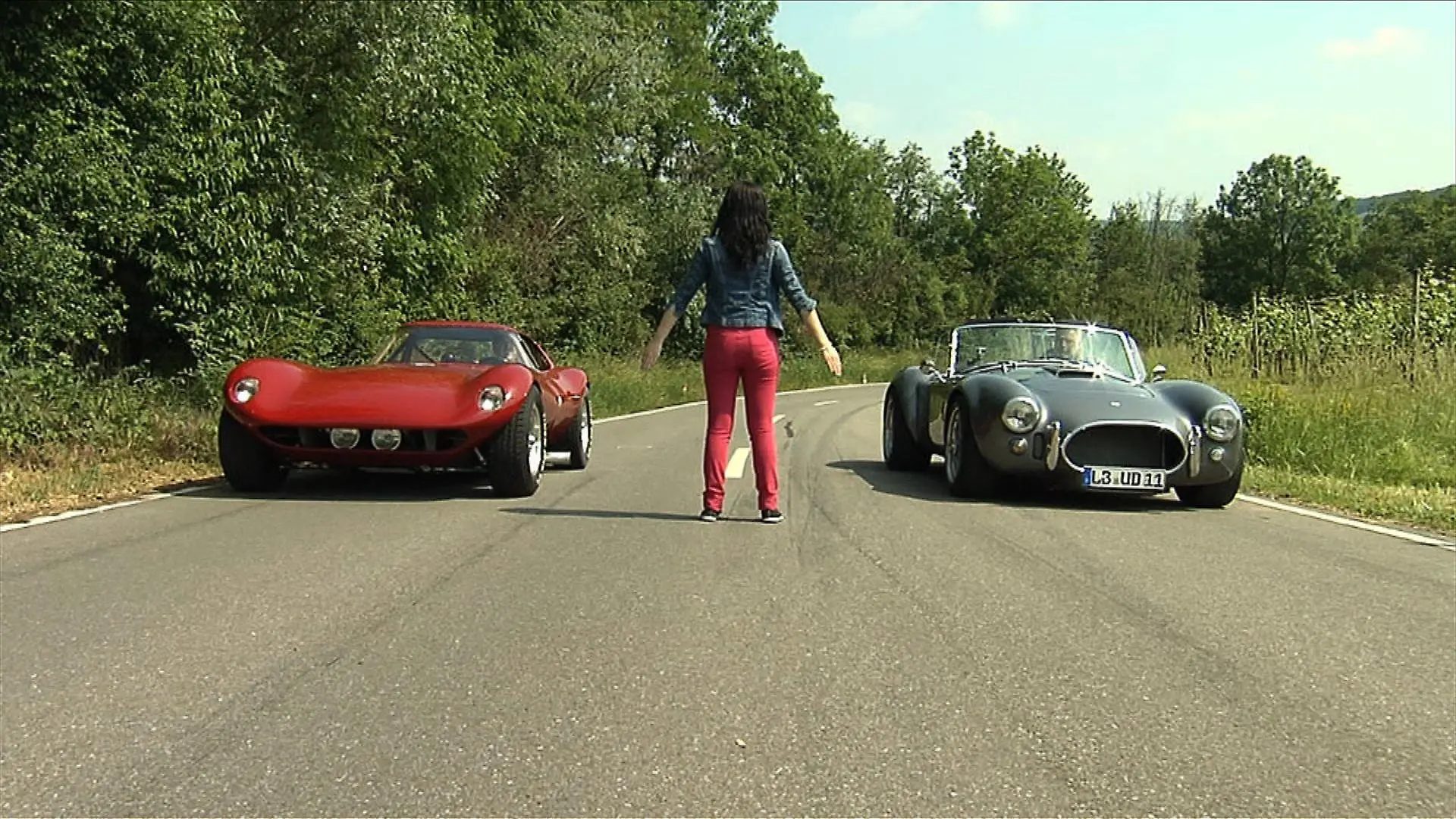 Internetbilder-Folge3612 Cheetah 2
