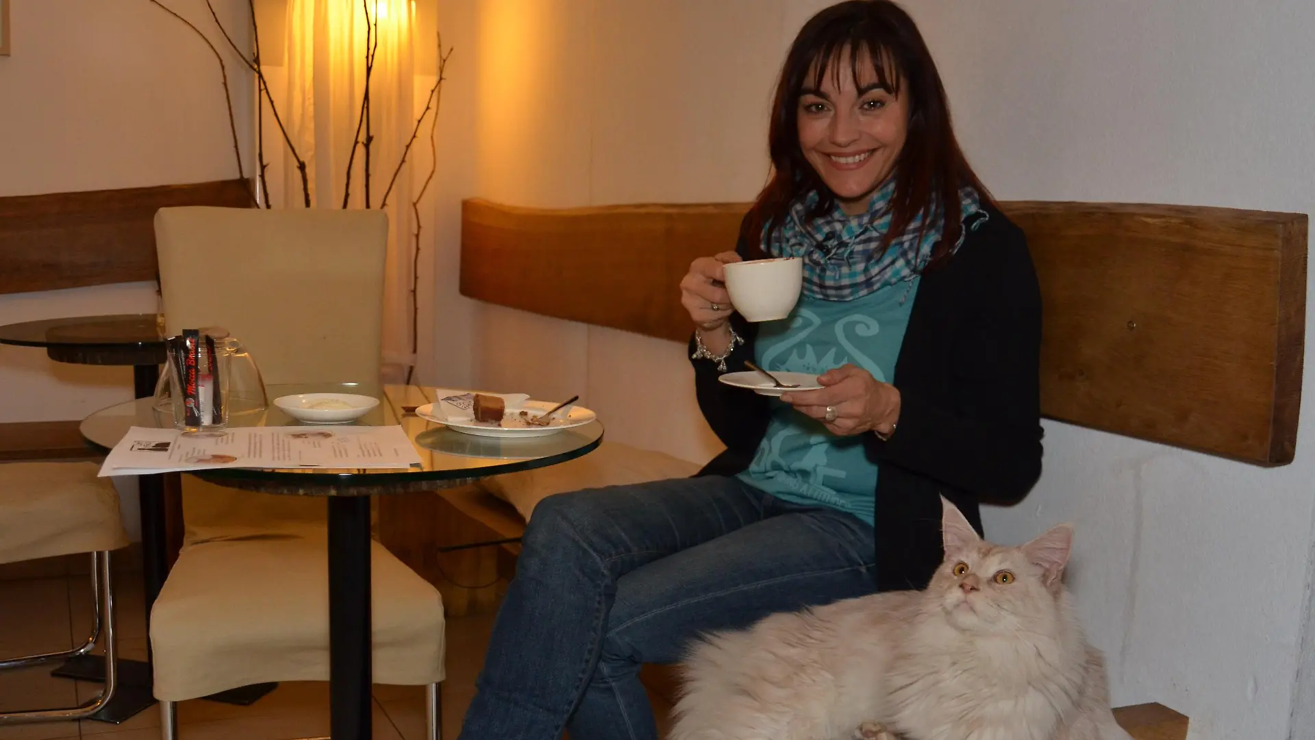 Tiergeschichten1 - Katzencafe