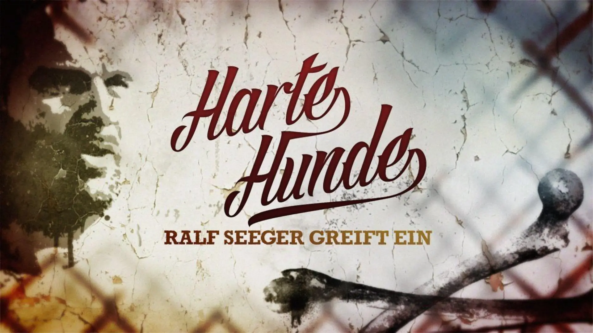 Das Logo zur Sendung "Harte Hunde - Ralf Seeger greift ein".