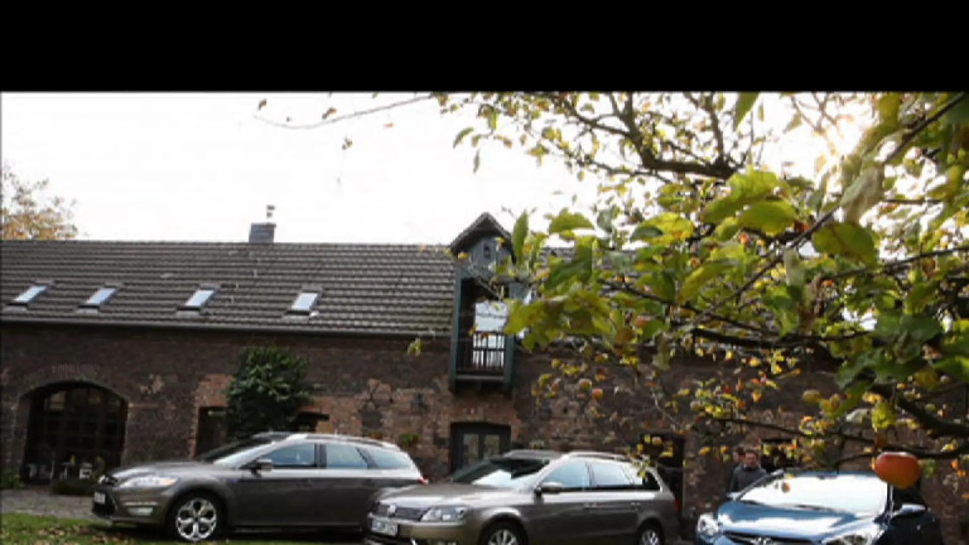 Internetbilder 05