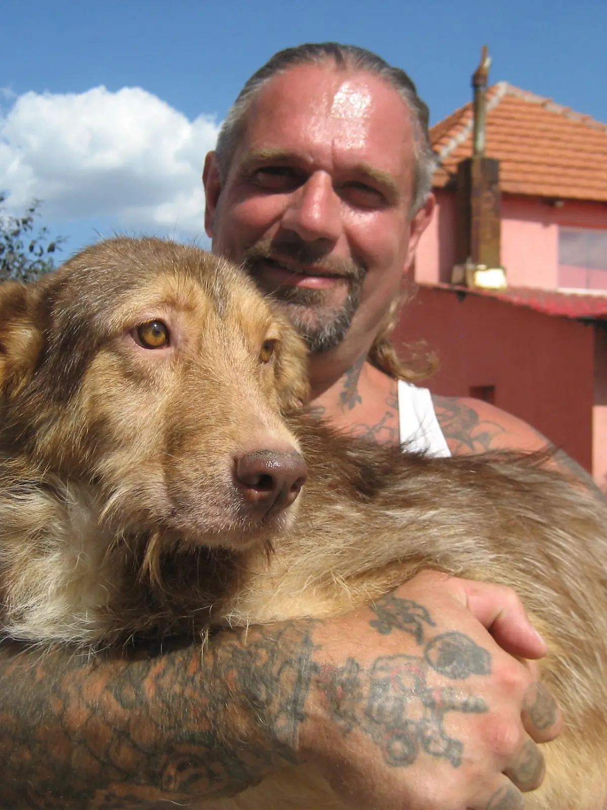 Tiergeschichten 3 - Harte Hunde - Tierretter in Rumnien - Ralf Seeger