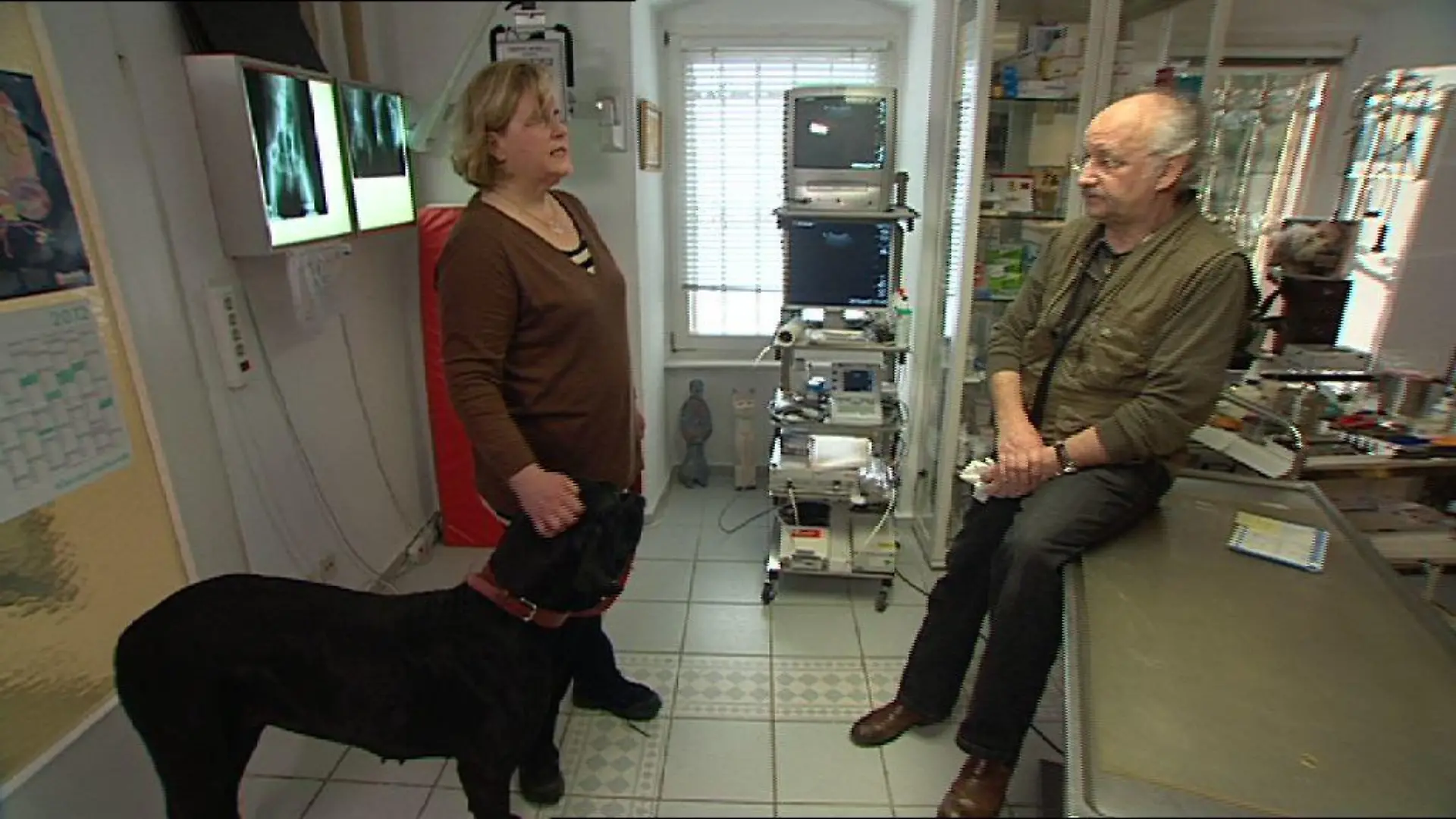 Sprechstunde - Dr Wolf und Hund mit Ausfluss