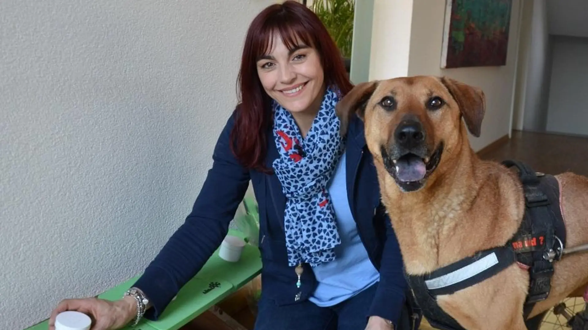 Tiergeschichten2 - VOX-DOCMA TV - Diana Eichhorn mit Erdnusswarnhund Smarti