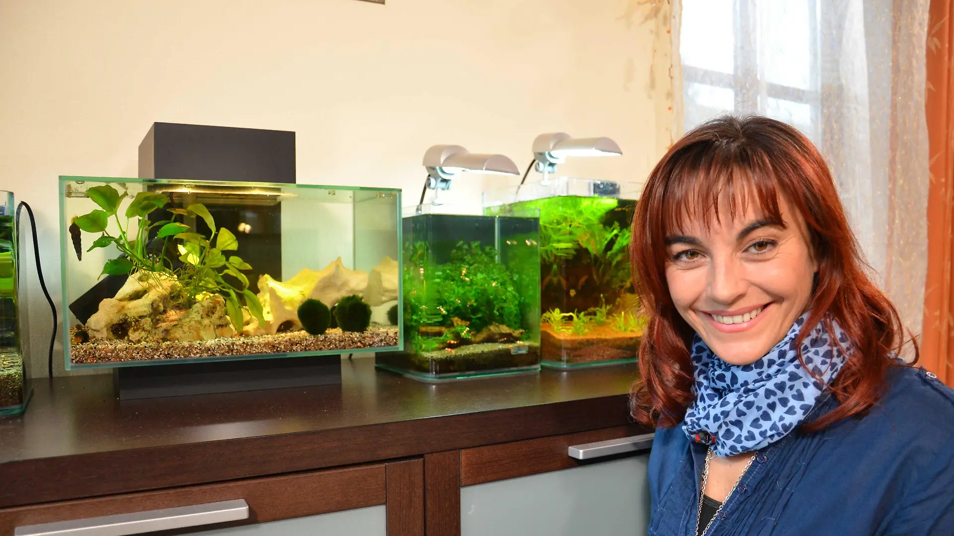 Tiergeschichten 2 - Diana und verschiedene Nano-Aquarien.jpg