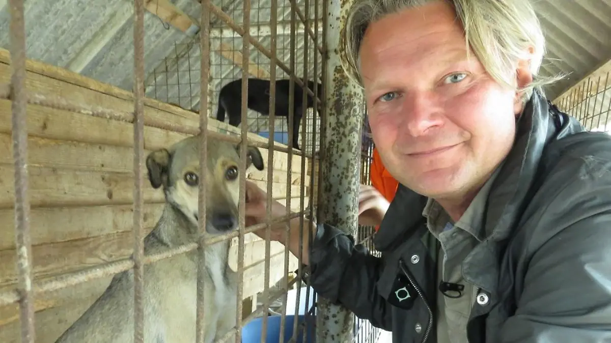 Tiere in Not - VOX-DOCMA TV - Frank Weber in der Smeura - Das weltweit grte Tierheim